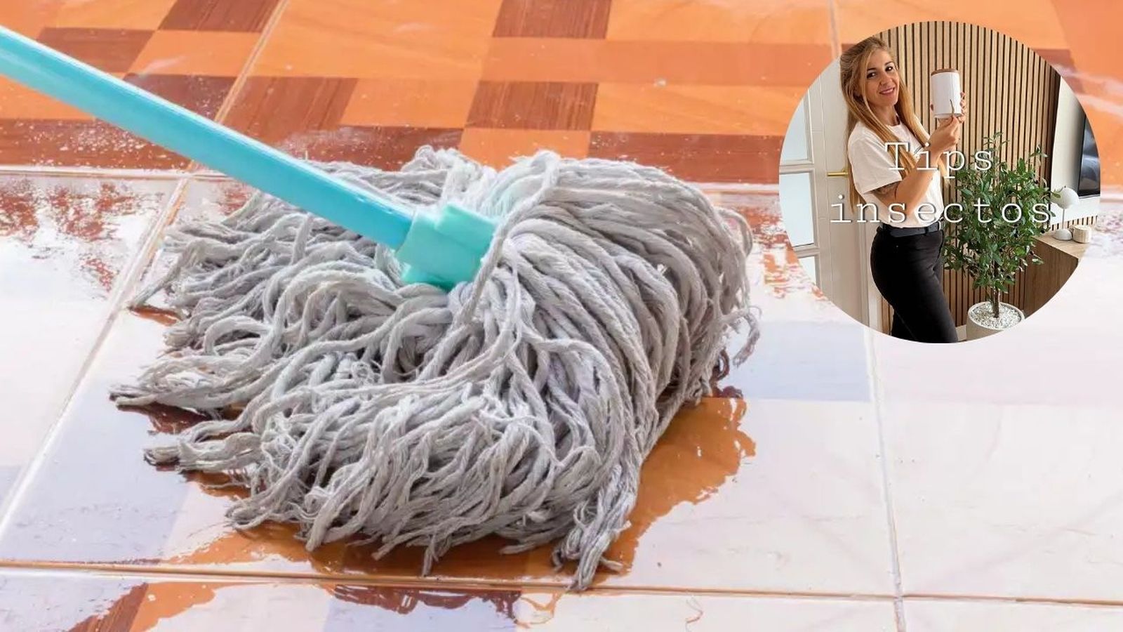 La canela ayuda a repeler a las hormigas