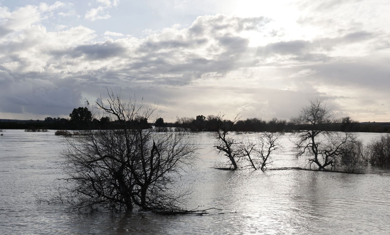Las fotos de la crecida del río Guadalquivir en Lora del Río por la borrasca Leonardo