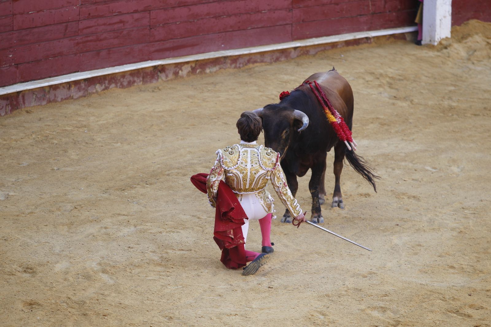 Fotogalería novillada Escuela Taurina de Almería. Feria de Almería 2019