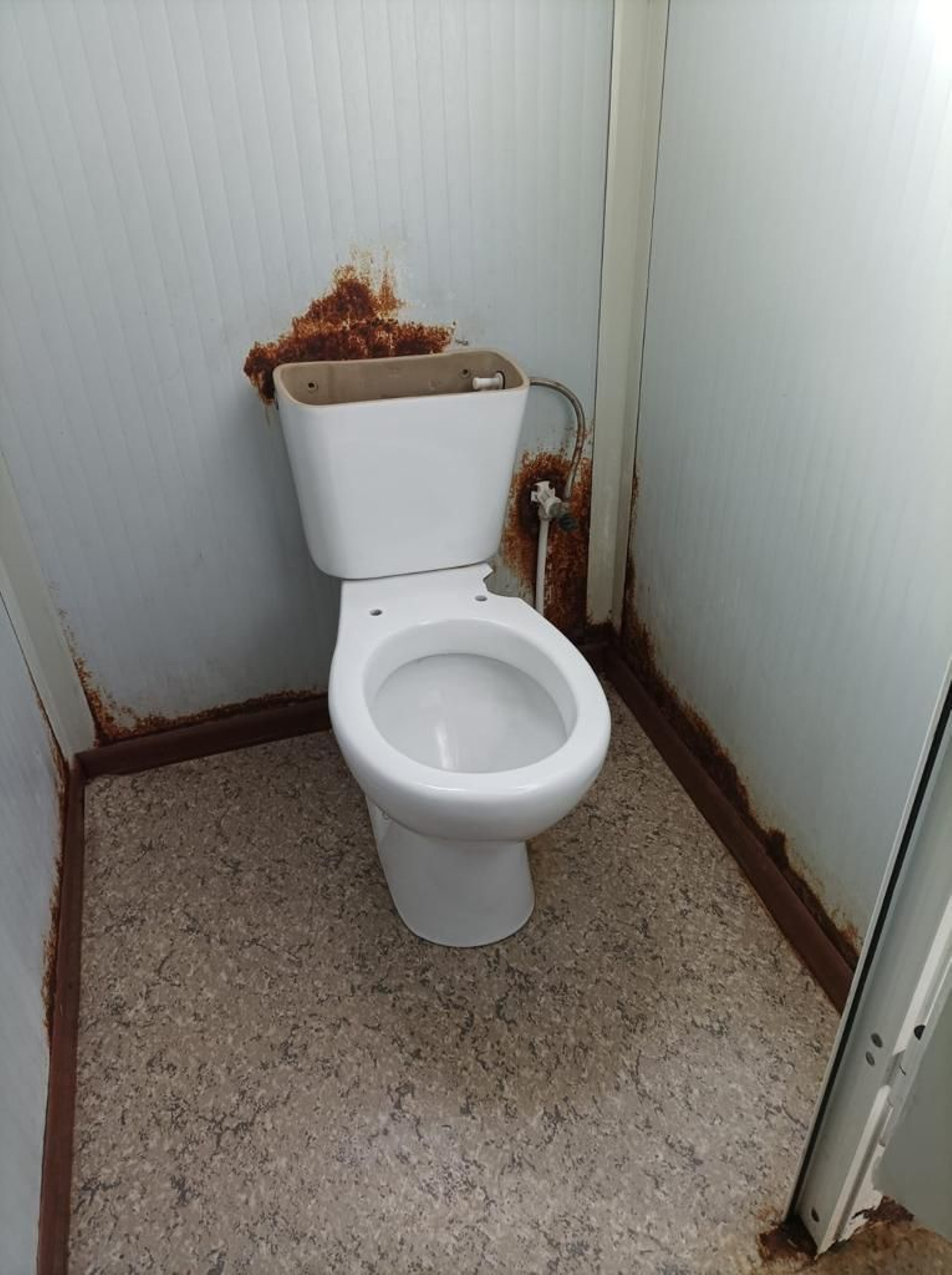 Aspecto que ofrece un aseo del comedor, como moho.