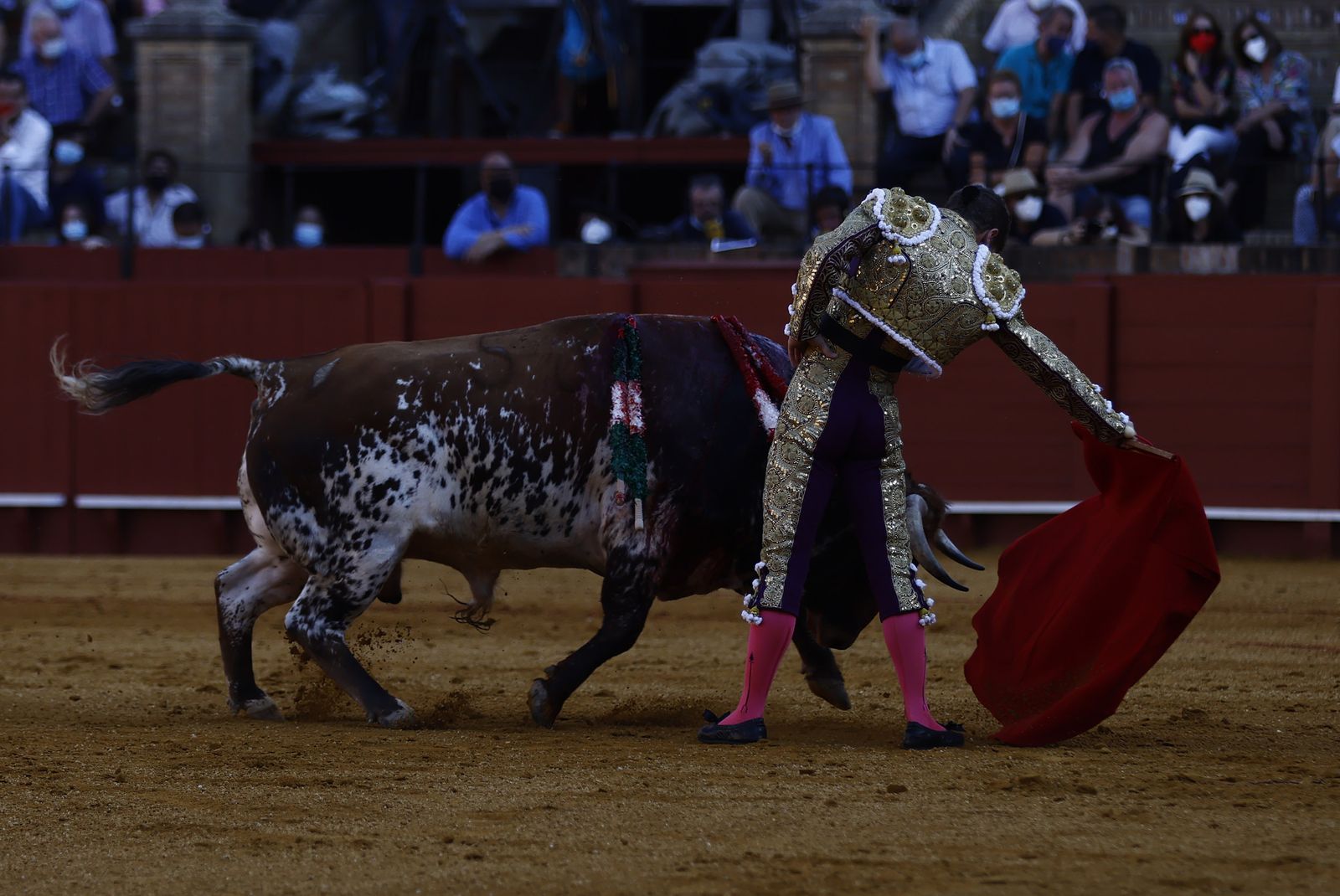 Fotos de la segunda novillada de la feria de San Miguel de Sevilla
