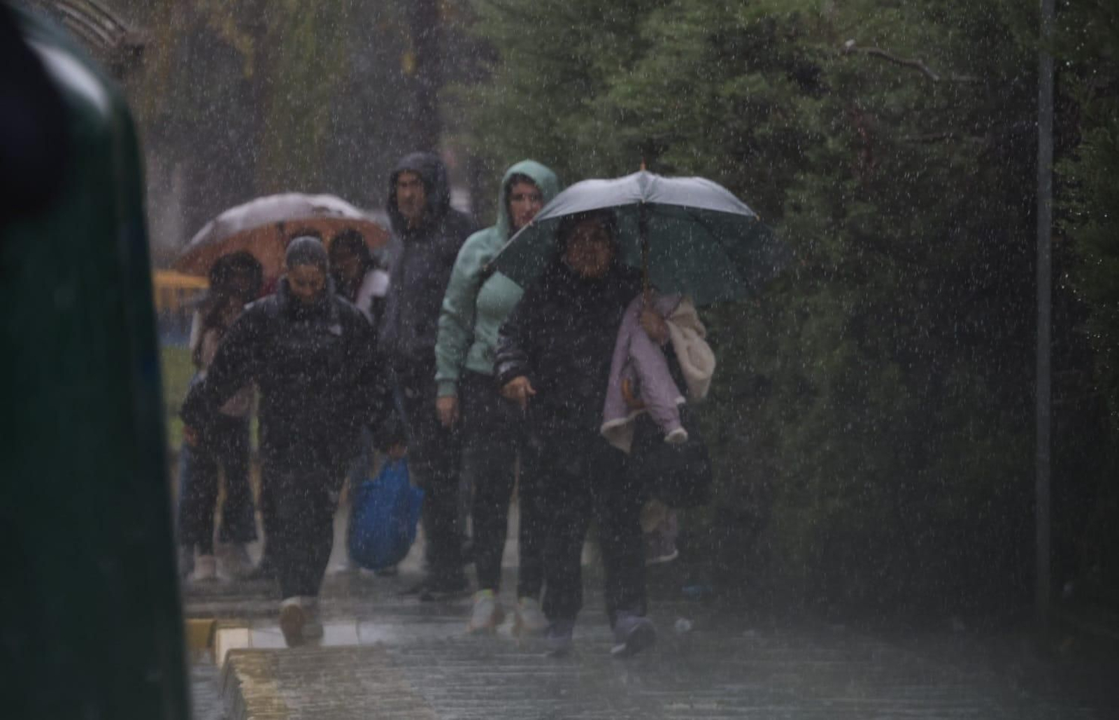 Lluvia en Algeciras, este viernes.