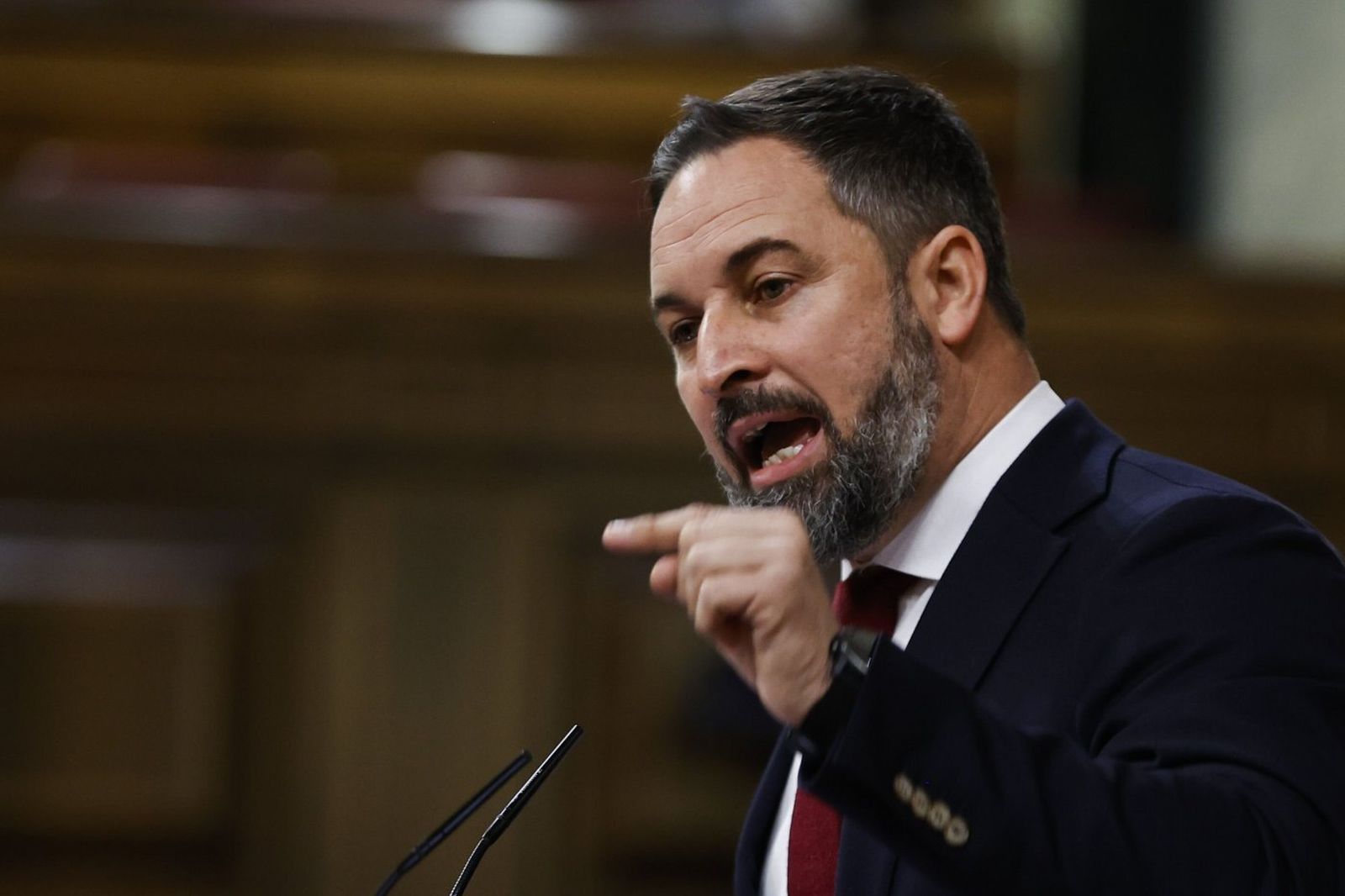 Abascal en el Congreso de los Diputados