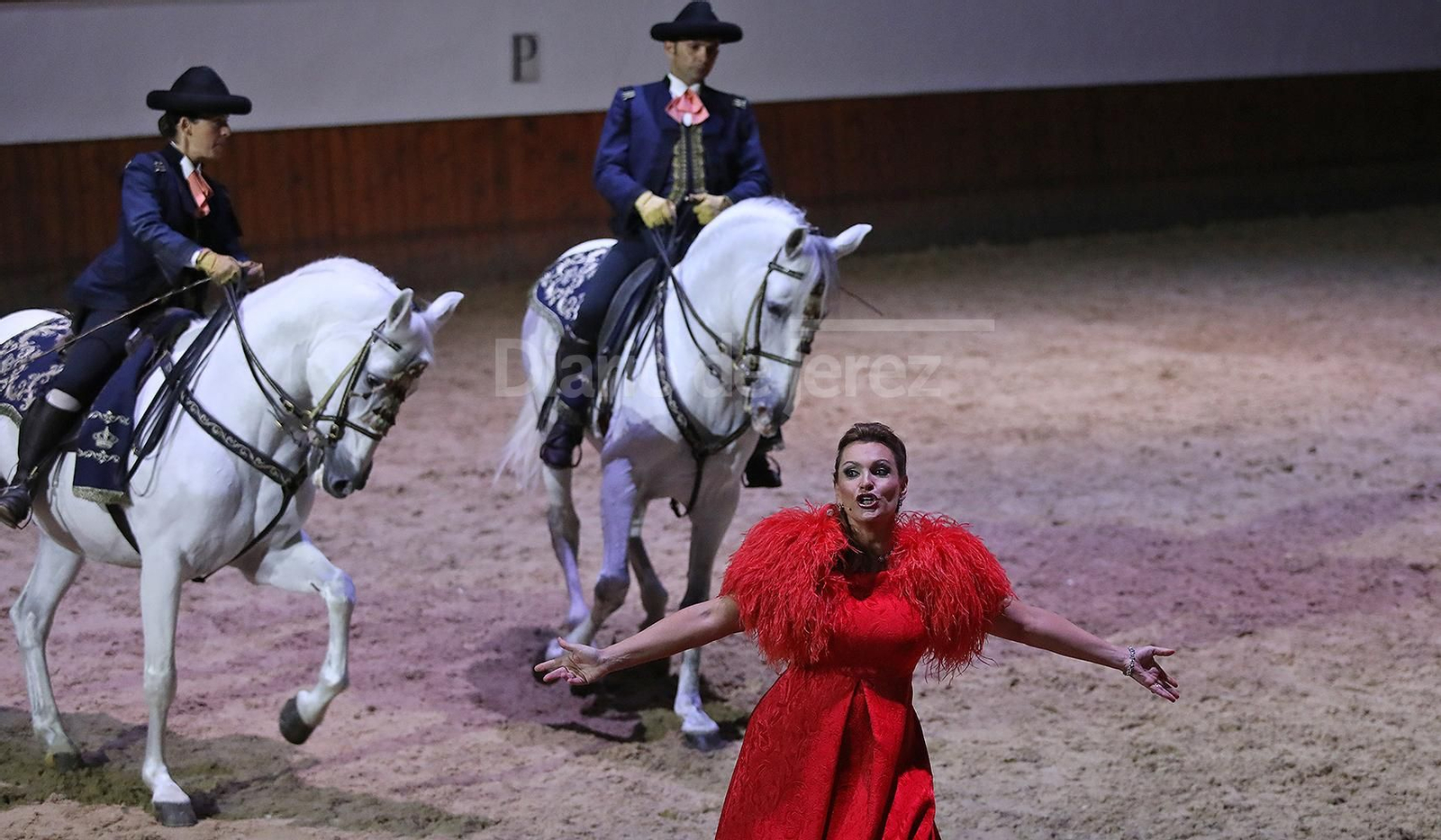 Imágenes de la Gala de la Real Escuela del Arte Ecuestre, sublime Ainhoa Arteta bailando con los 'Caballos Andaluces'