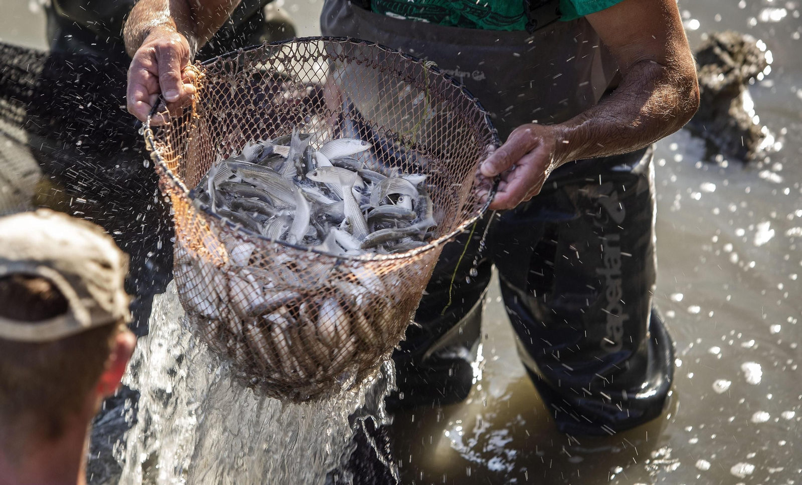 Imagen de archivo de un despesque