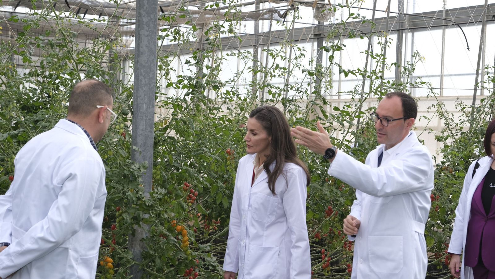 La visita de la reina Letizia a El Ejido, en imágenes