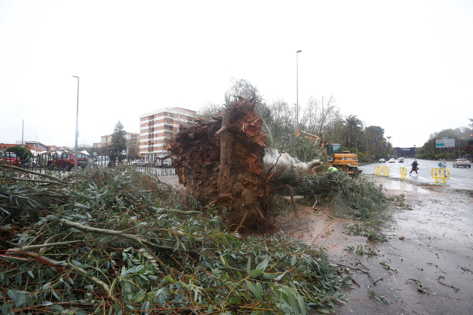 Los daños del último temporal que ha pasado por Córdoba, en imágenes