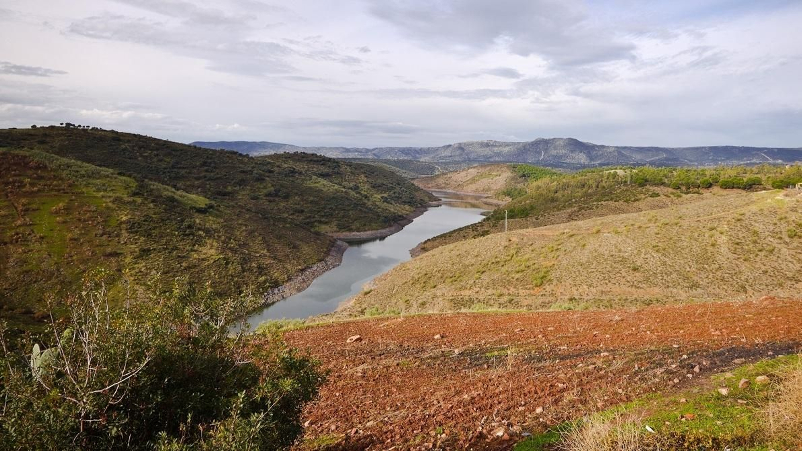 El embalse del Rumblar o las ganaderías de reses bravas confieren una especial belleza a los paisajes bañuscos. Baños de la Encina, uno de los pueblos más bonitos de España