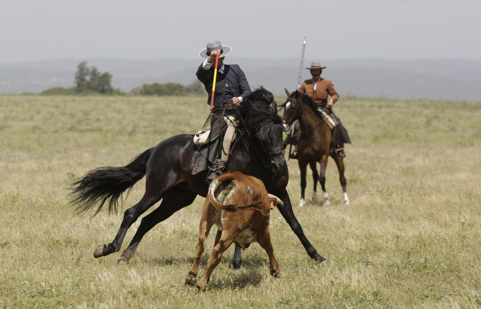 La celebración del 175 aniversario de la ganadería Miura, en imágenes