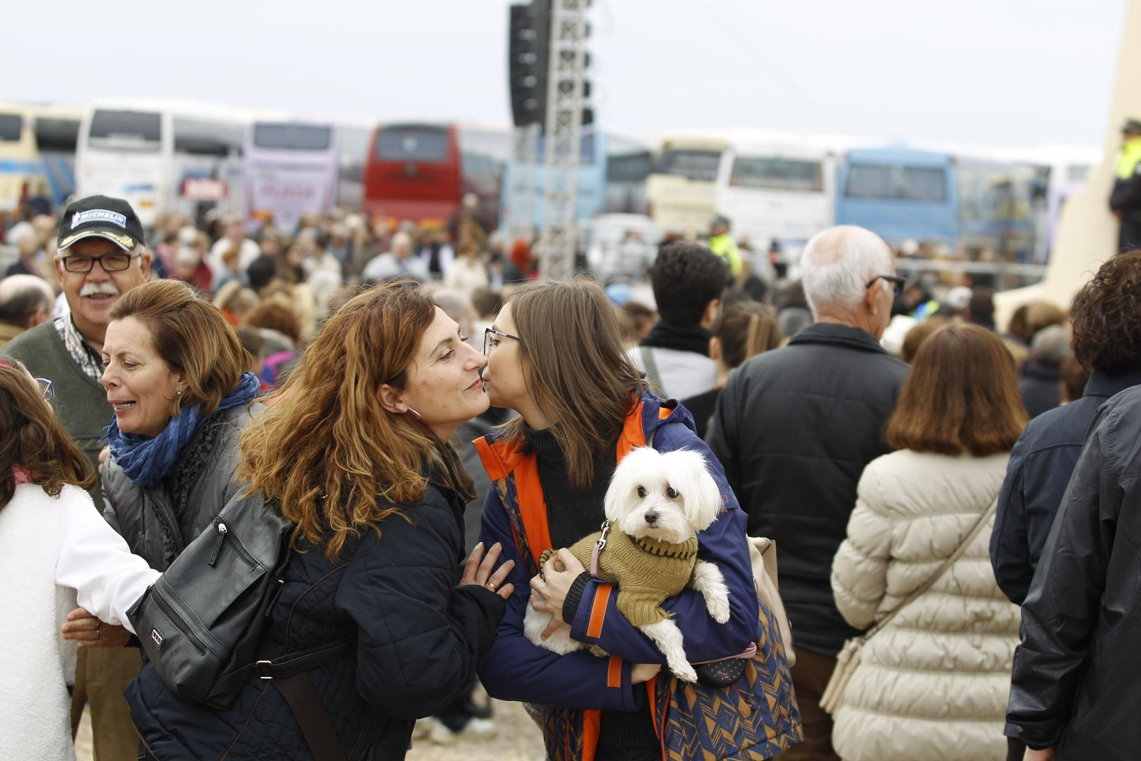 Las imágenes de la Romería de Torregarcía
