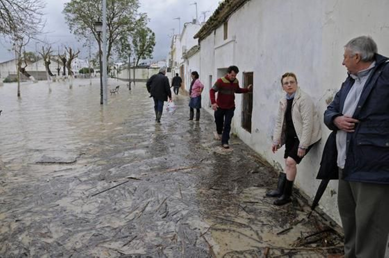 Habitantes de Lora del Río andan sobre los restos de los árboles que cubren el agua.

Foto: Juan Carlos Vázquez