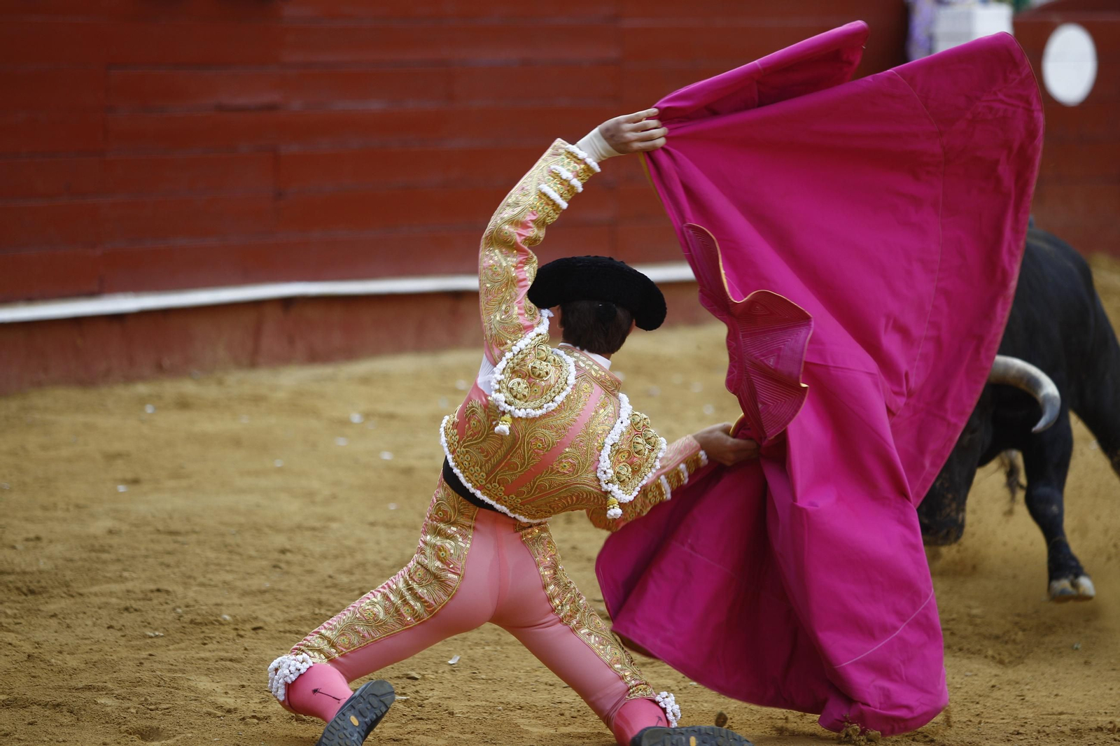 Imágenes de la novillada de la Feria de Almería 2025