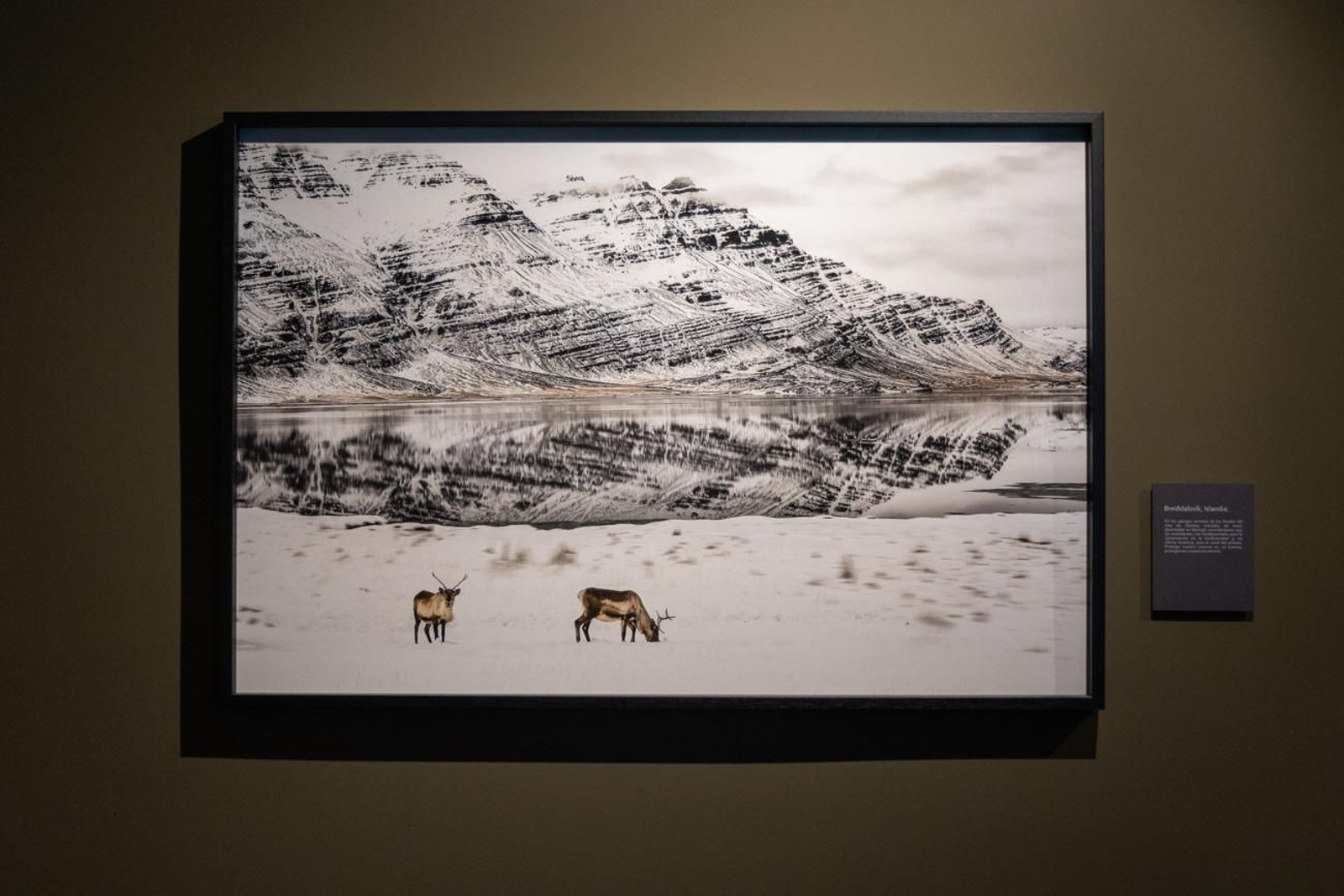 One Health en imágenes: la fotogalería de Katy Gómez que te hará reflexionar sobre la salud global