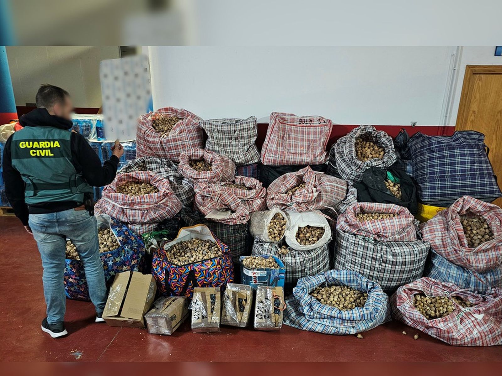 La Guardia Civil interviene 527 kilos de adormidera enviada a varios puntos de España y EEUU