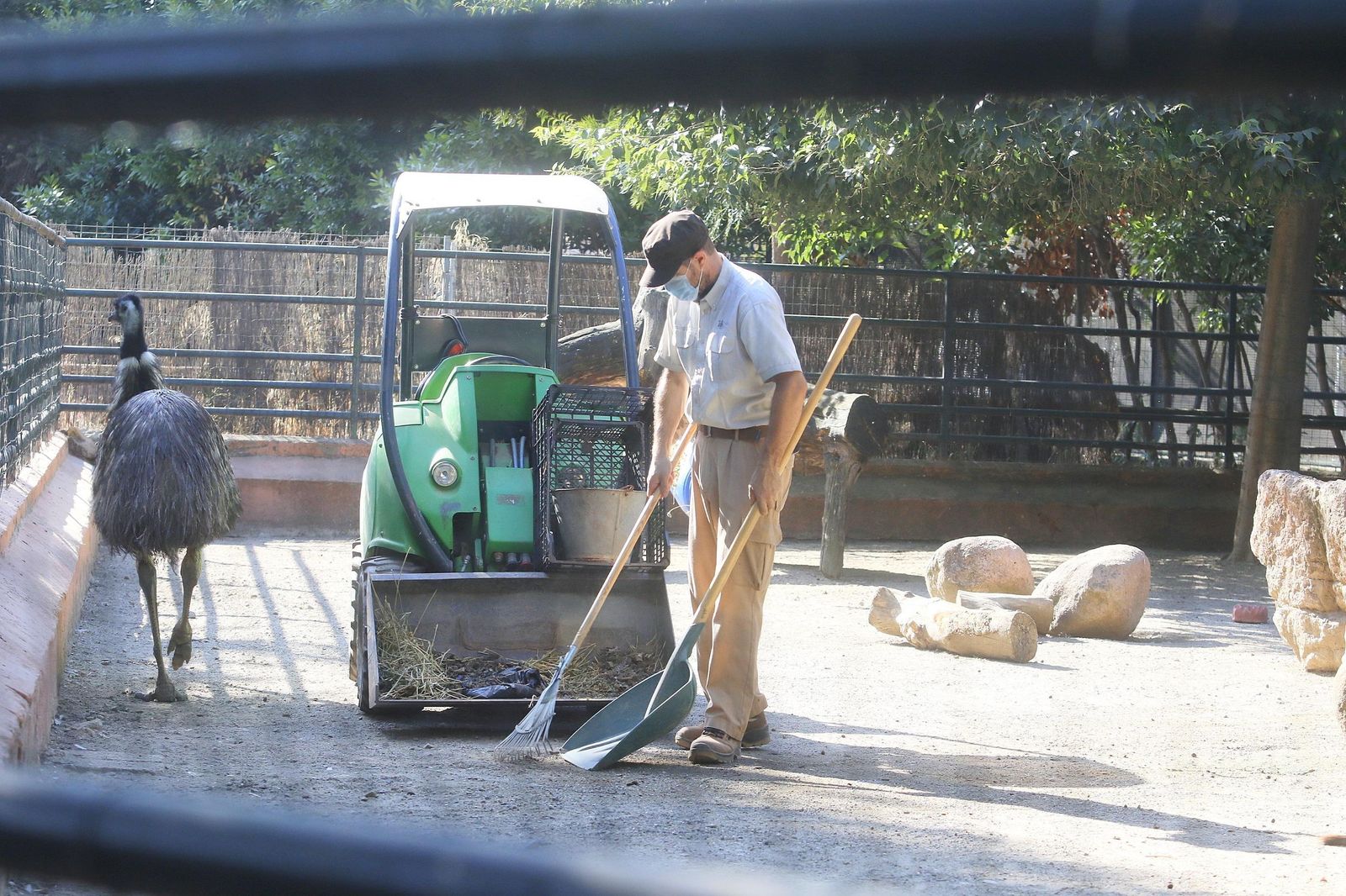 Un trabajador limpia una zona del Zoo de Córdoba.