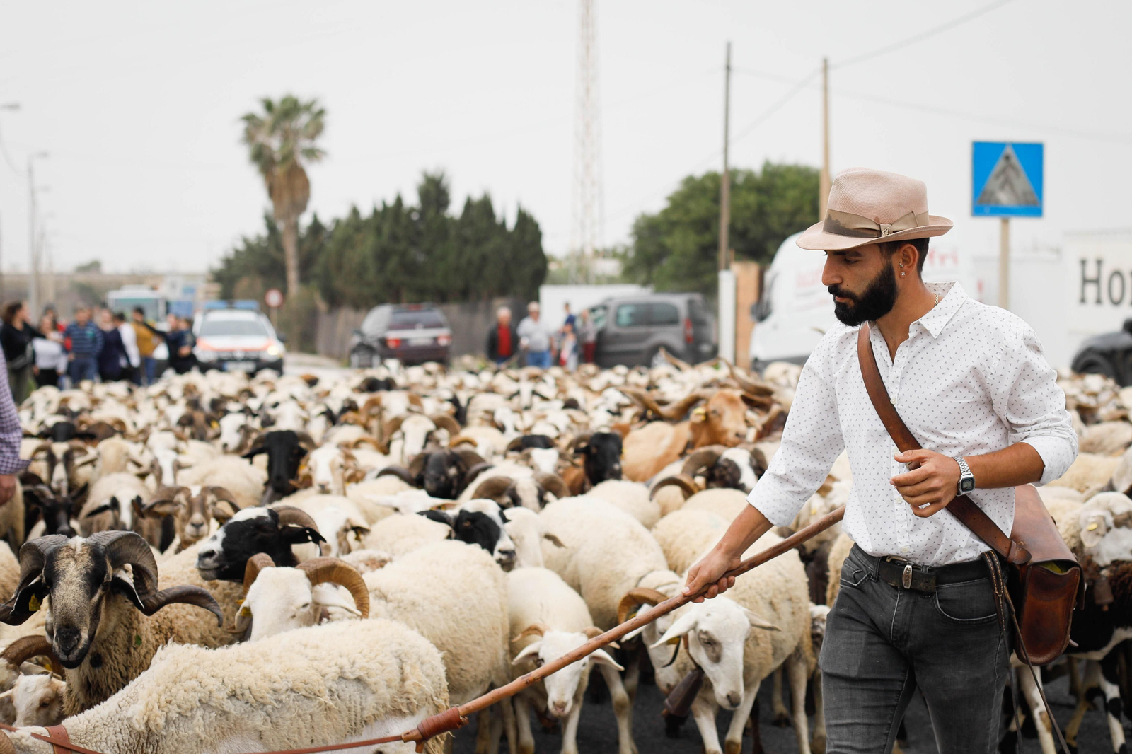 Galería de la Feria  de ganado en Tarambana