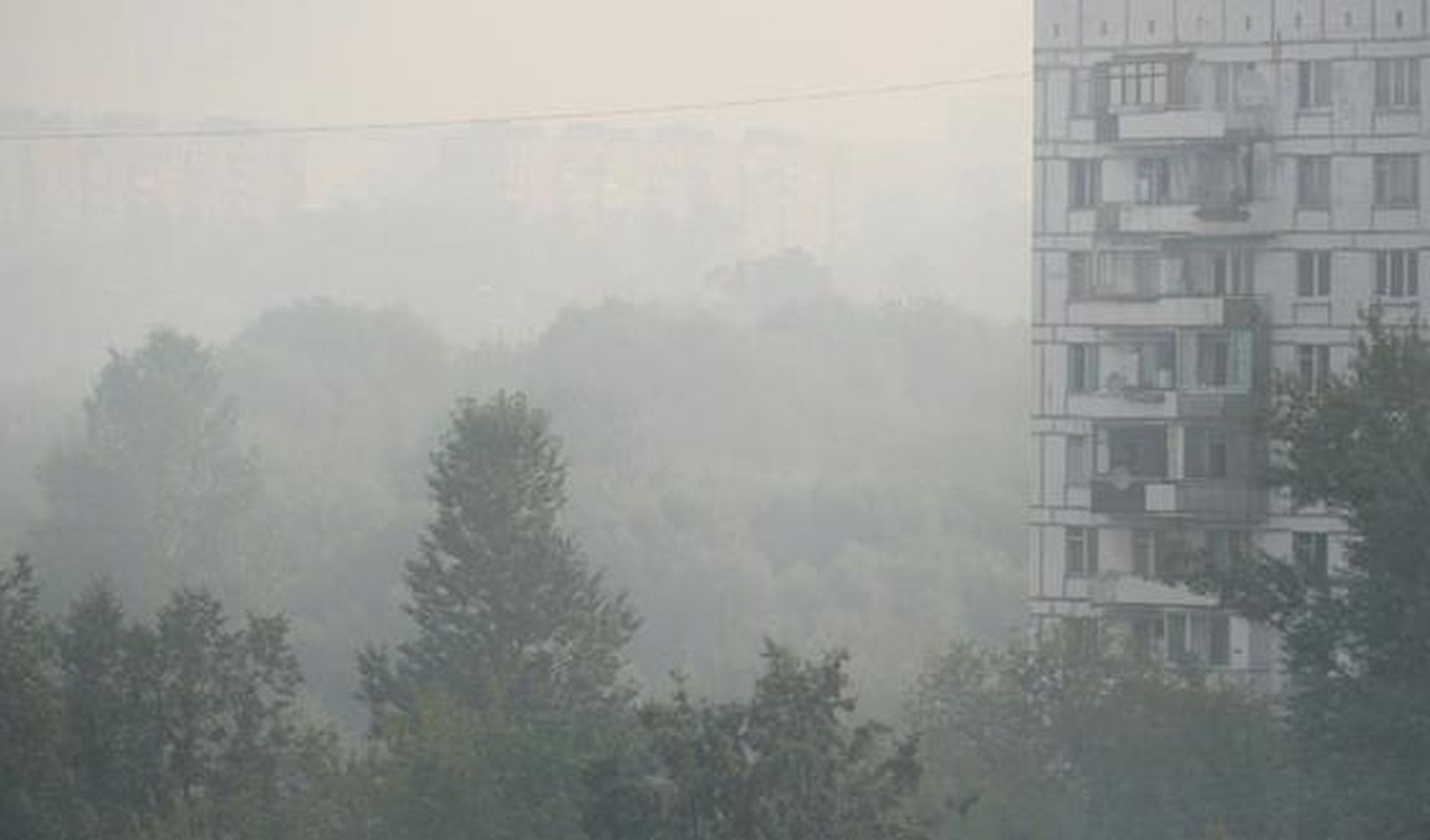Siete regiones rusas están en estado de emergencia por los fuegos forestales. / AFP