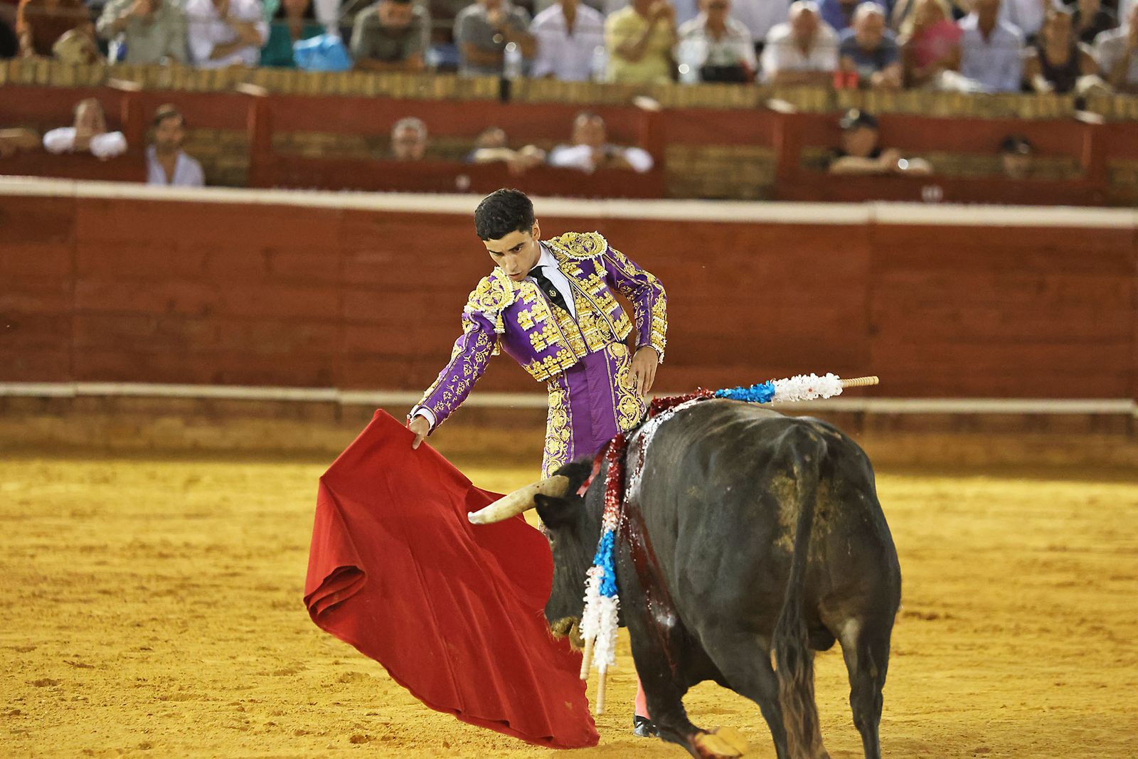 Toros La Merced 2024 Novillada con picadores(