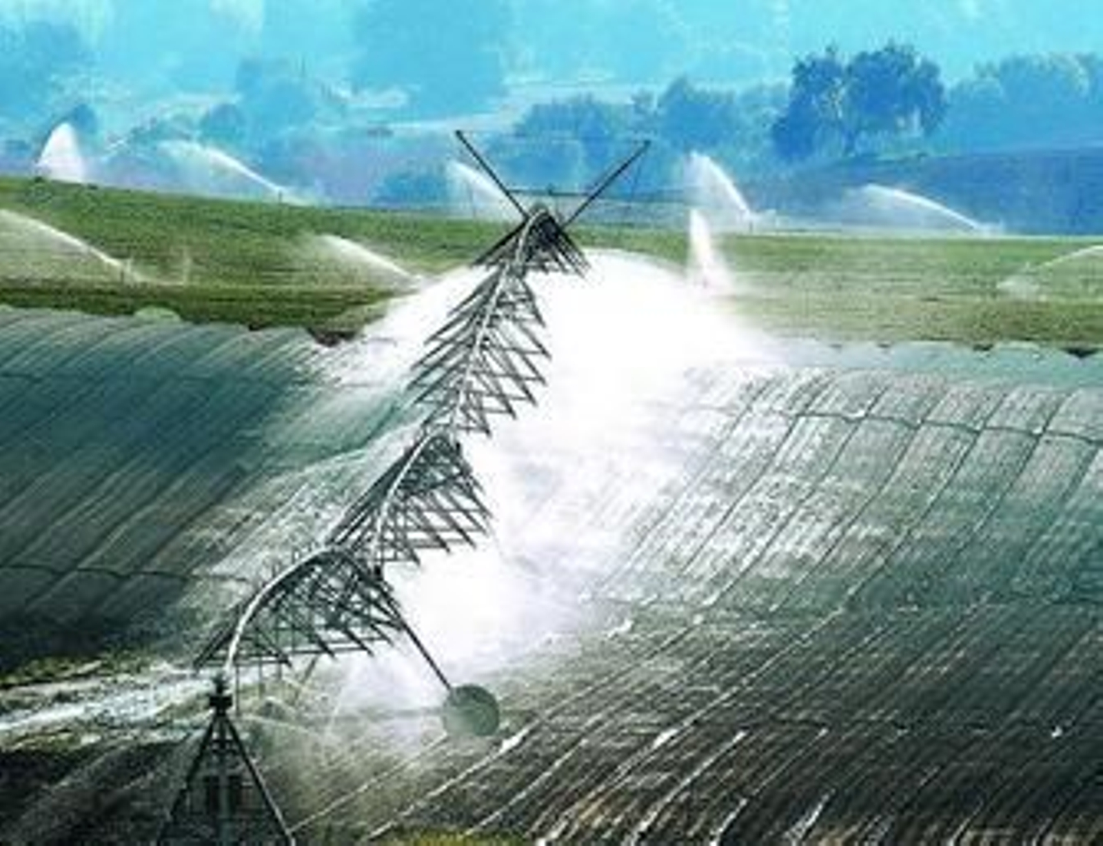 Sistema de riego a pleno rendimiento en una explotación agrícola de la campiña jerezana.