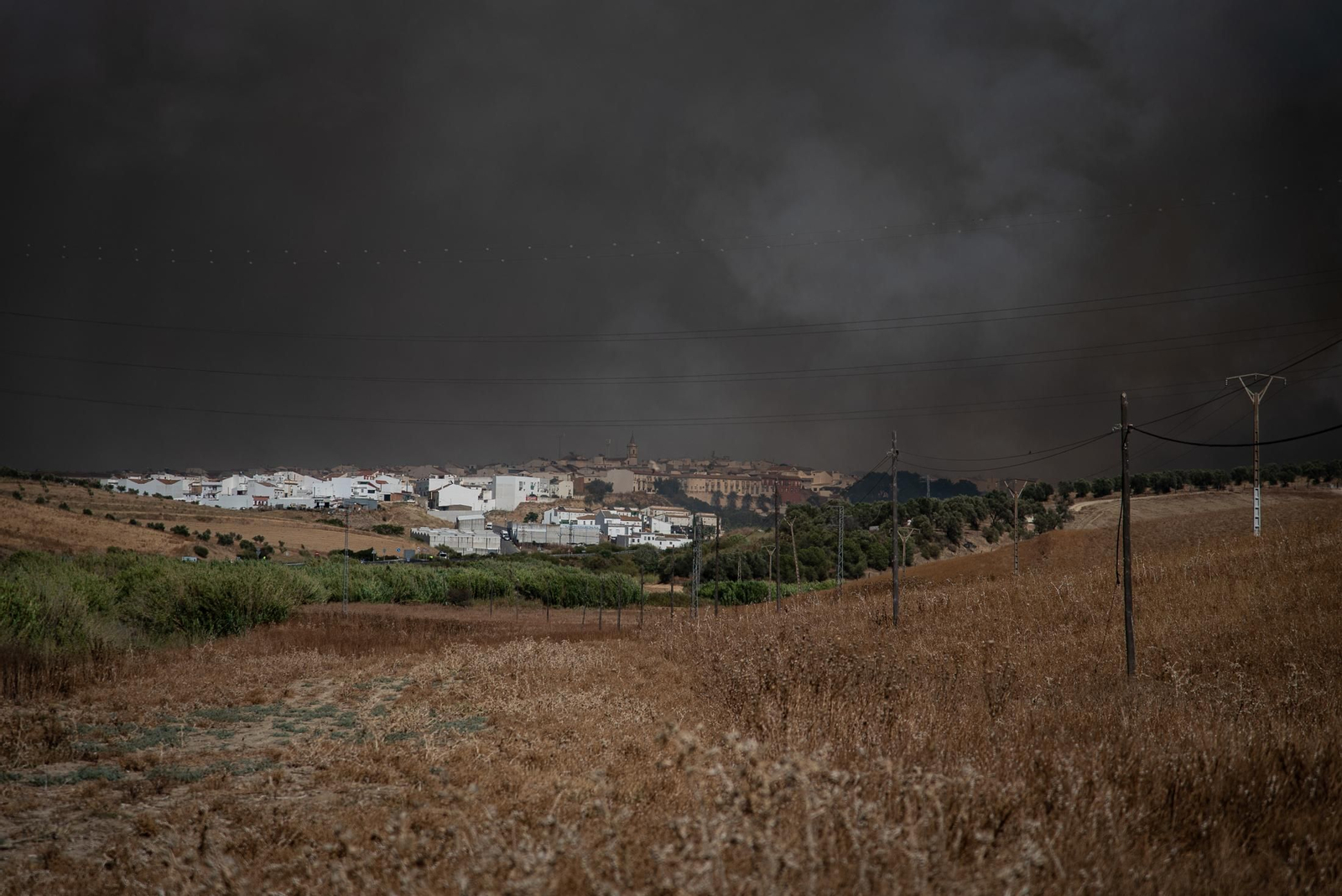 El incendio de Lucena del Puerto en imágenes