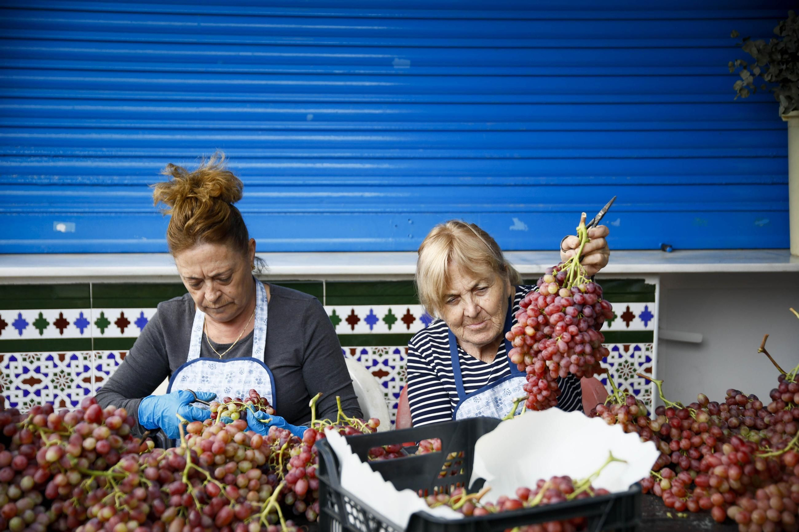 La tradicional faena de la uva de Canjayar, en imágenes