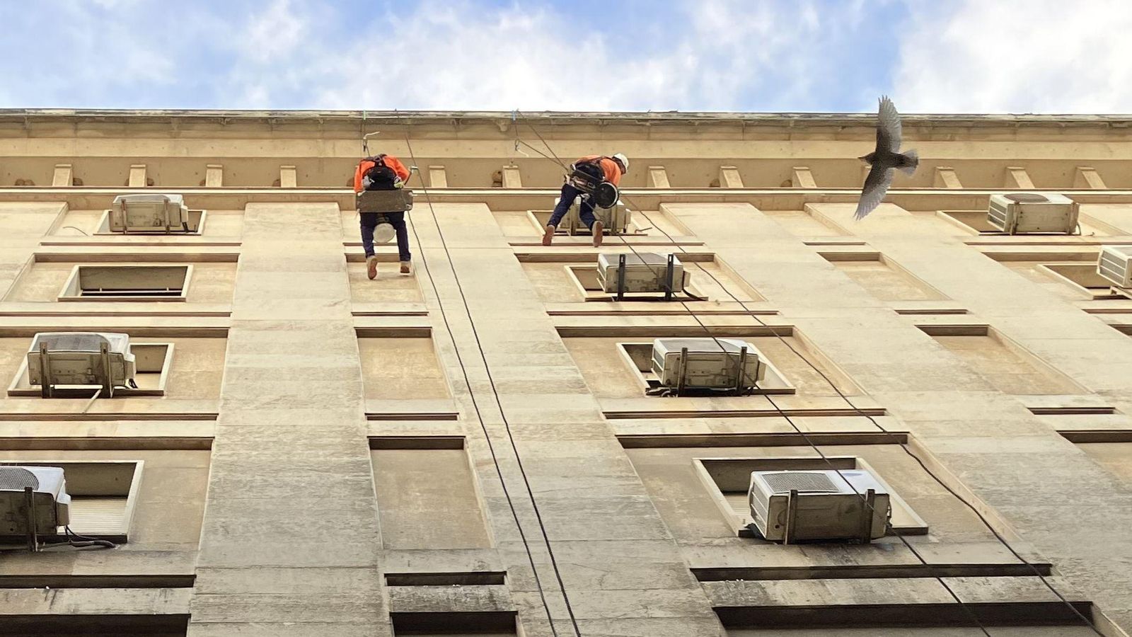 Un pájaro pasa junto a los operarios de Astreo encargados del trabajo vertical para repasar las placas del edificio.
