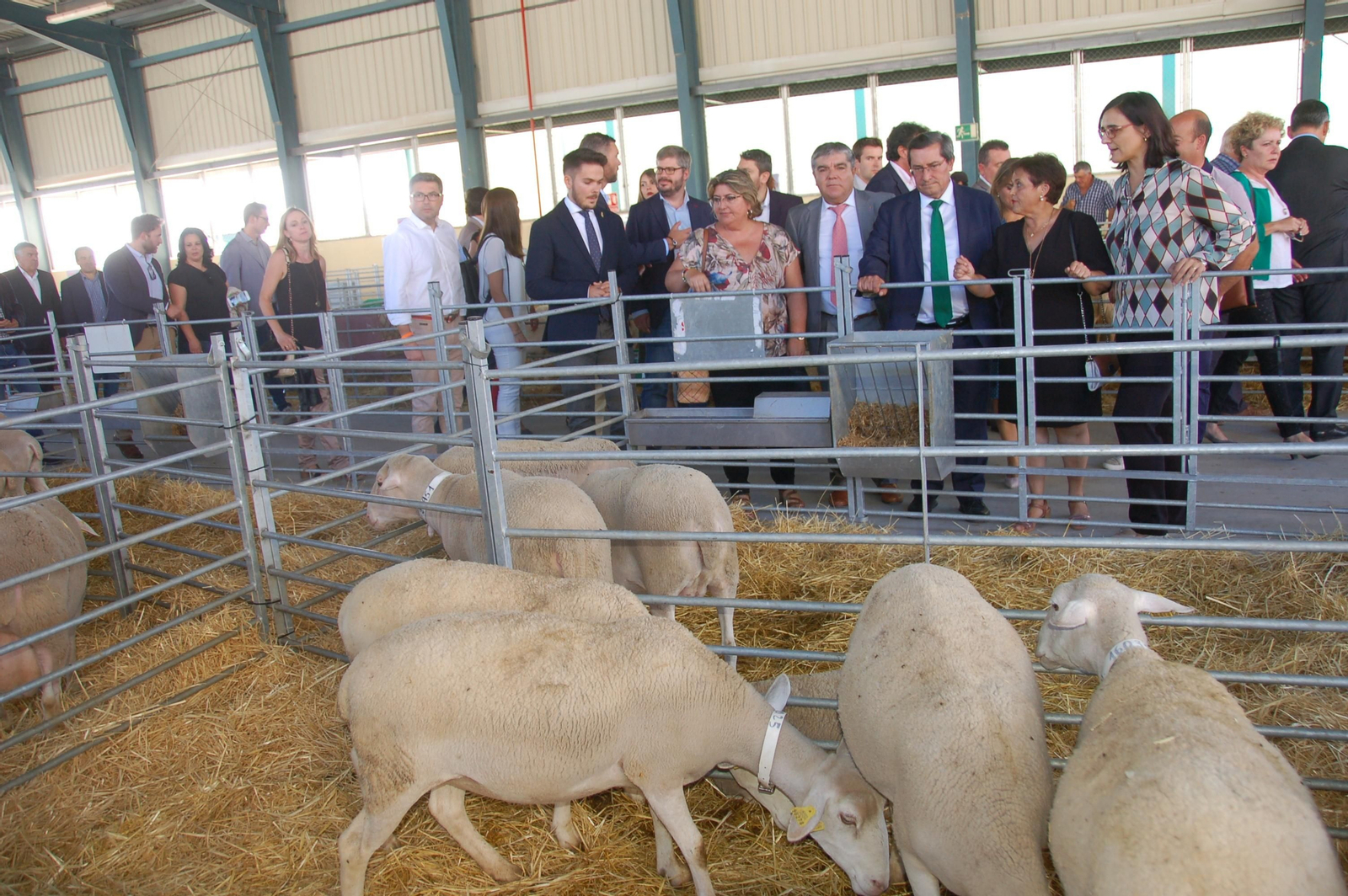 La alcaldesa de Huéscar junto a la delegada de Agricultura, Ganadería y Pesca, al presidente de la Diputación y la diputada de Empleo y Desarrrollo Sostenible durante la visita al recinto ferial de La Almazara.