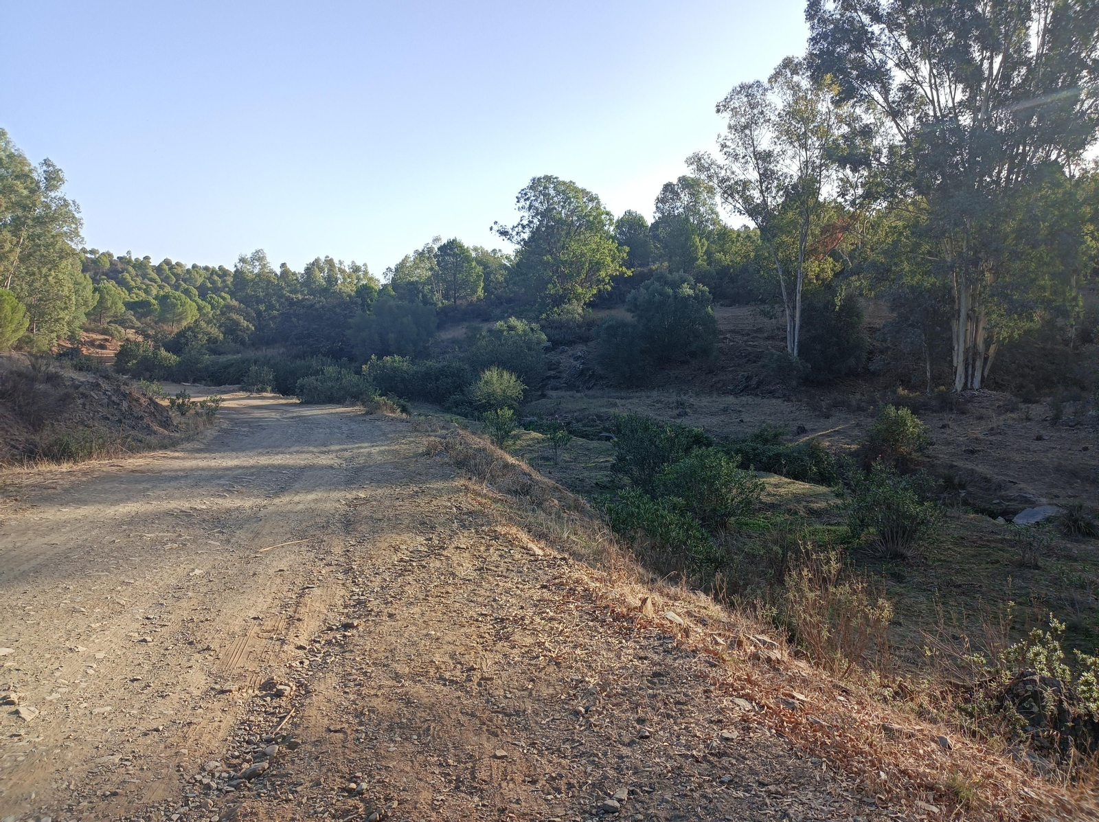 Fotos de la ruta de Los Brezales-Umbría de Santa Fe en el Ronquillo