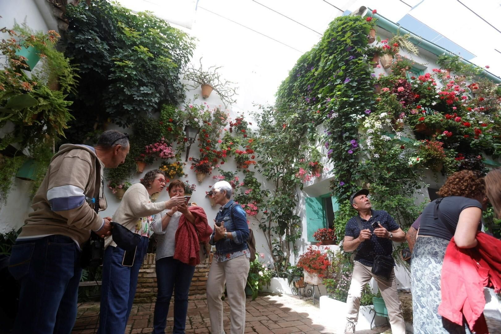 Las mejores imágenes del primer día de Patios en Córdoba