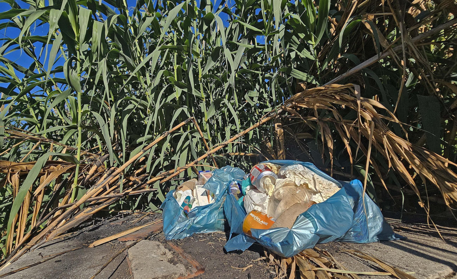 Fotos de los desperfectos de la barriada de La Capelina en Algeciras