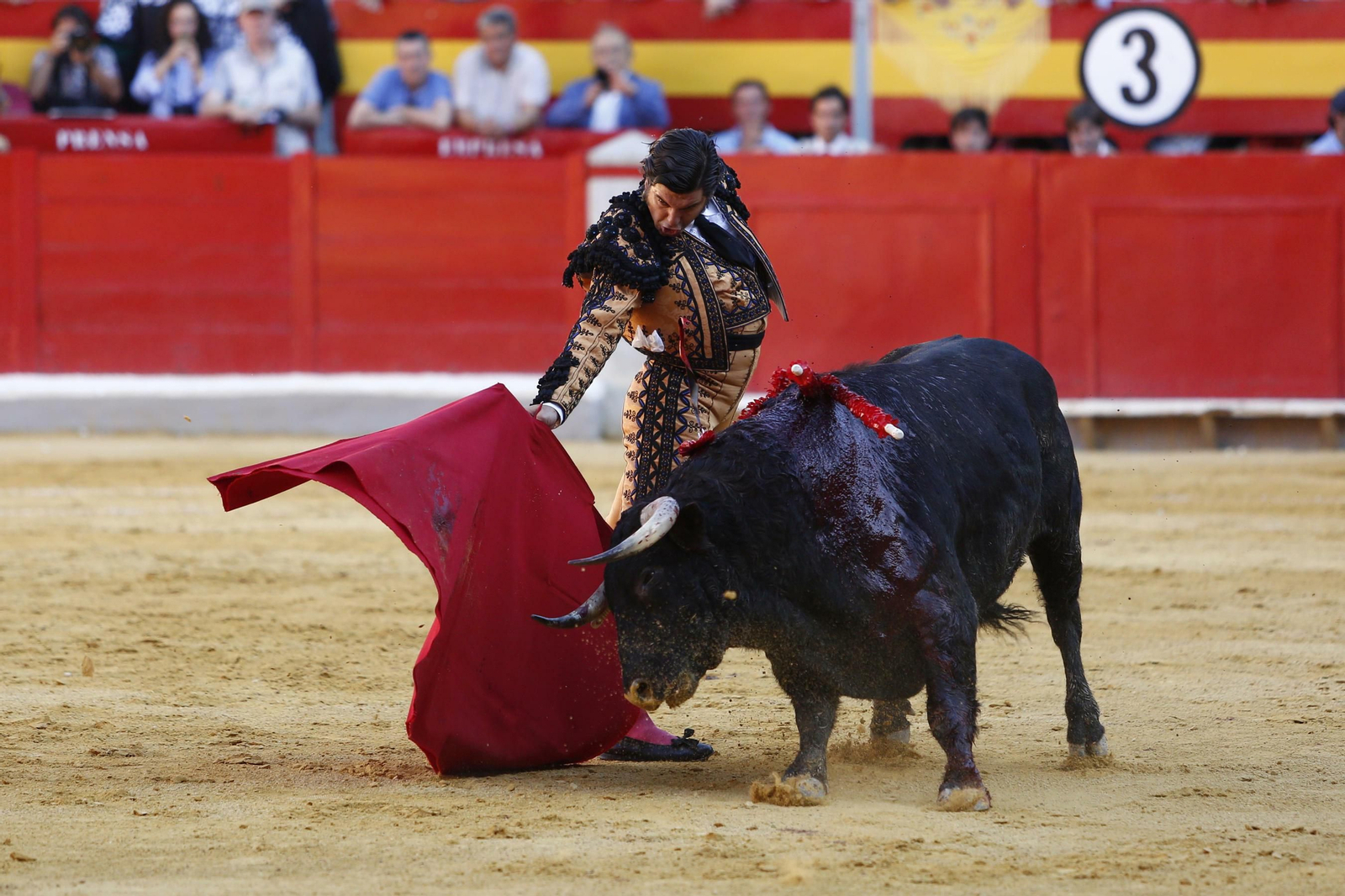 Las mejores imágenes de los toros en el Corpus