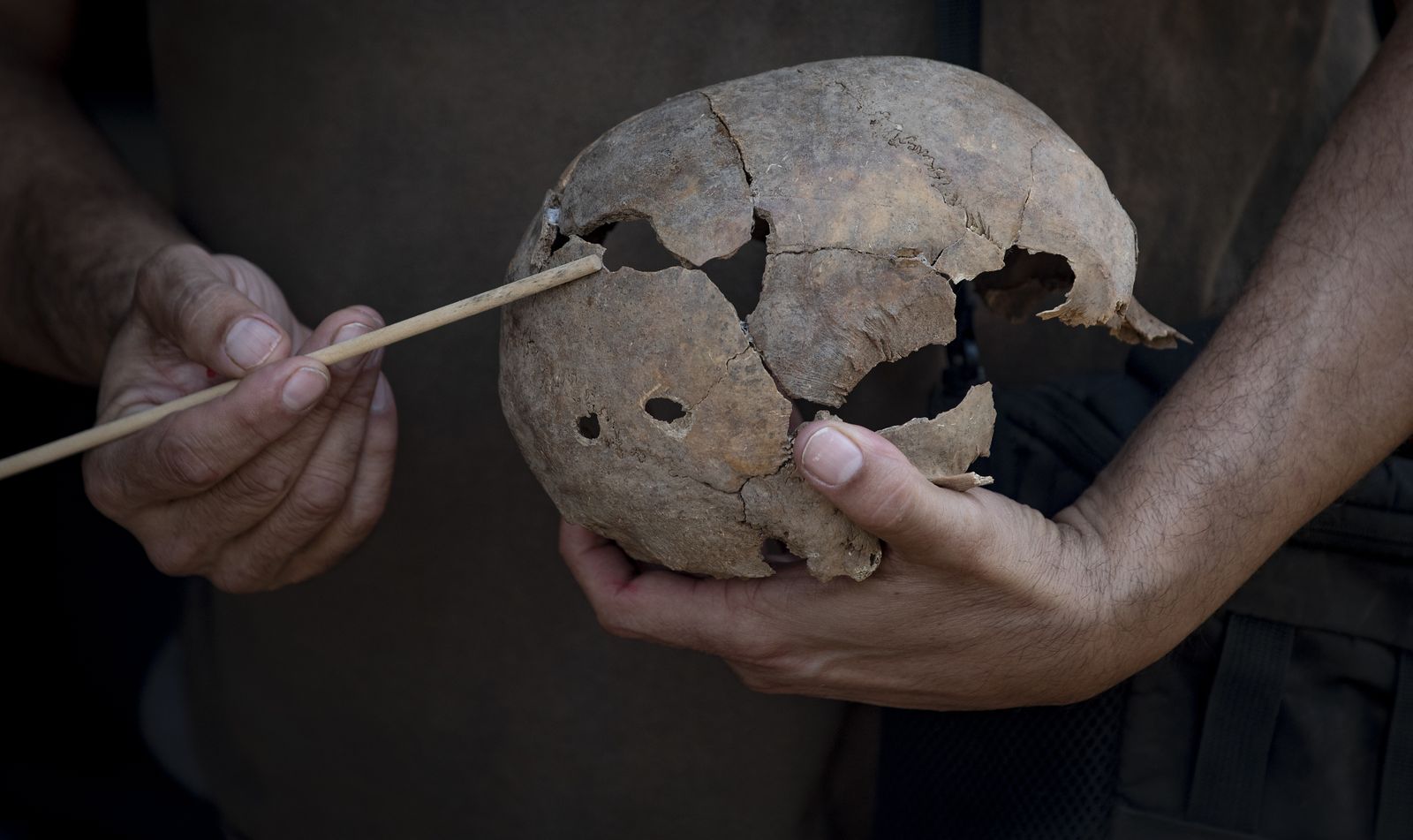 Imágenes de la fosa común de Pico Reja, en el cementerio de San Fernando