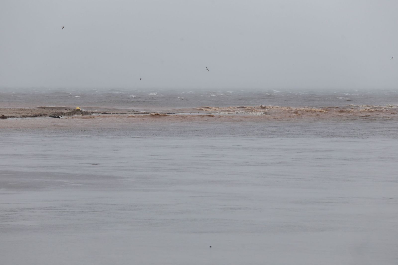 Fotos del temporal de lluvia y viento por la borrasca Kristin en el Campo de Gibraltar