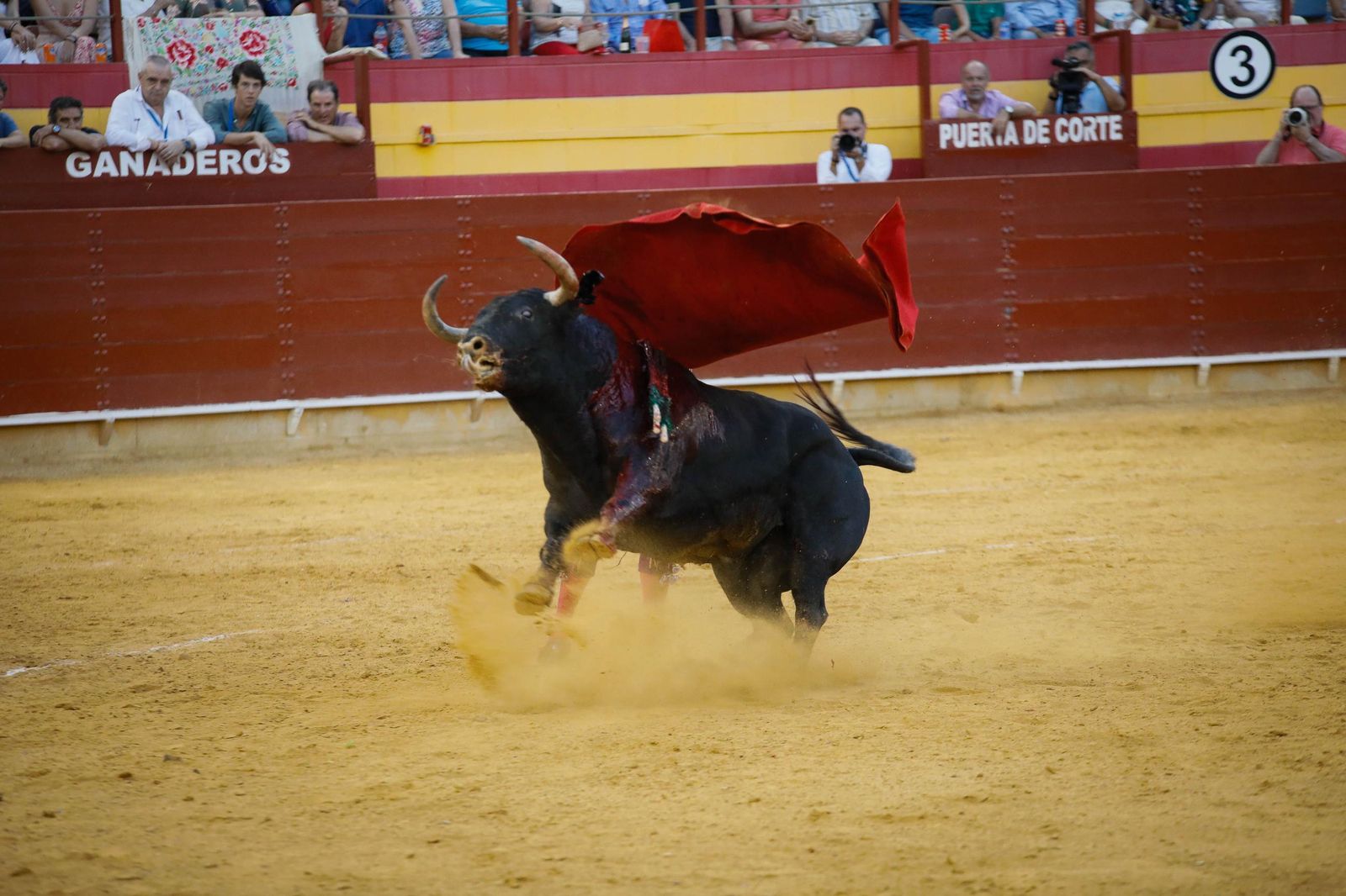 Corrida de toros en Roquetas, en imágenes