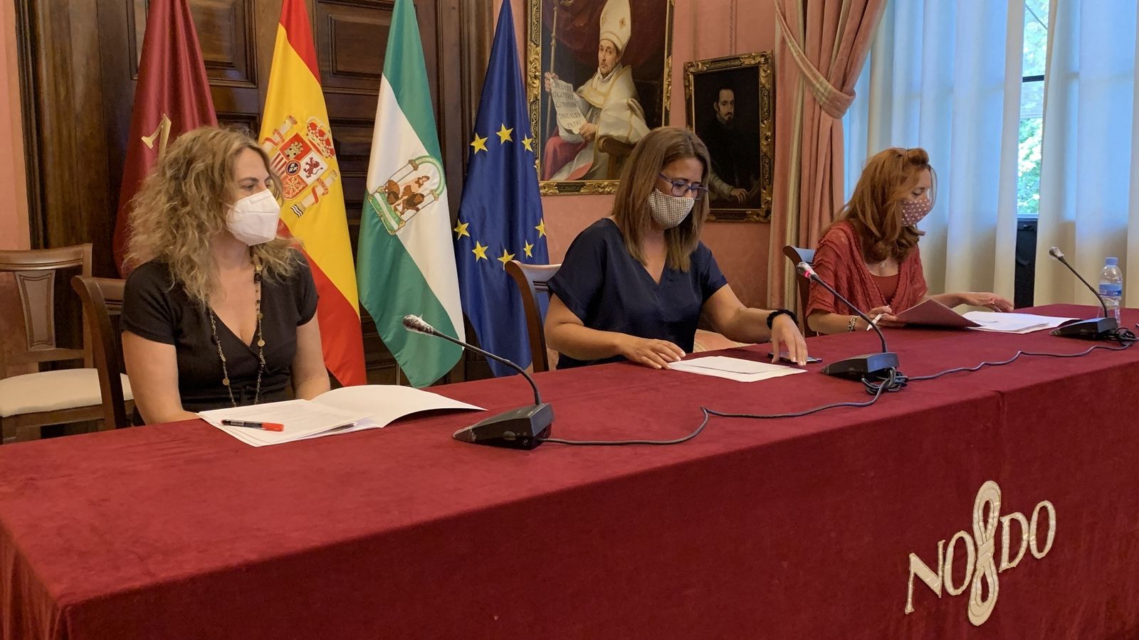 Gaya explica la modificación de la ordenanza de gestión, recaudación e inspección.