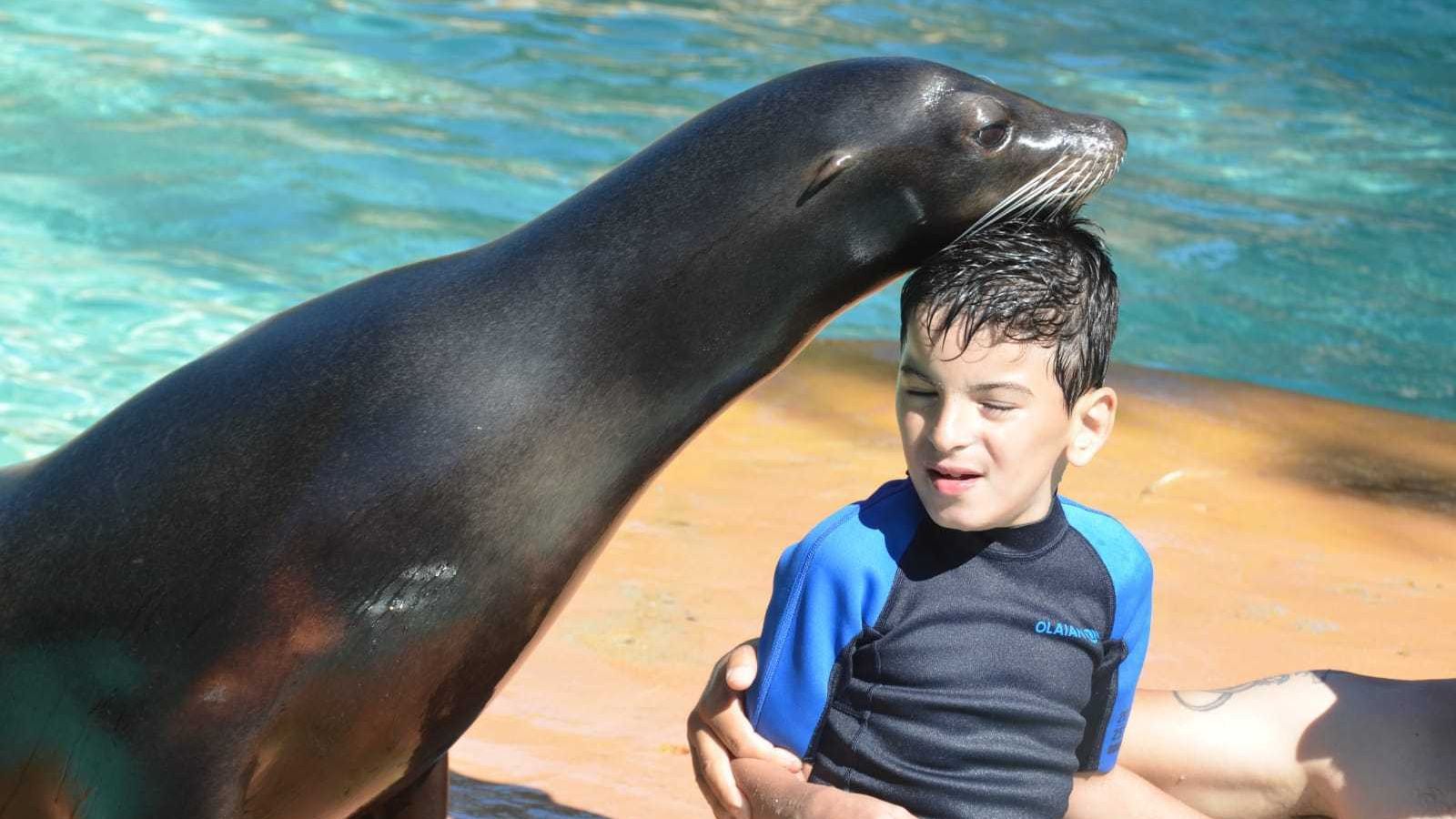 Uno de los pequeños interactúa con un león marino.