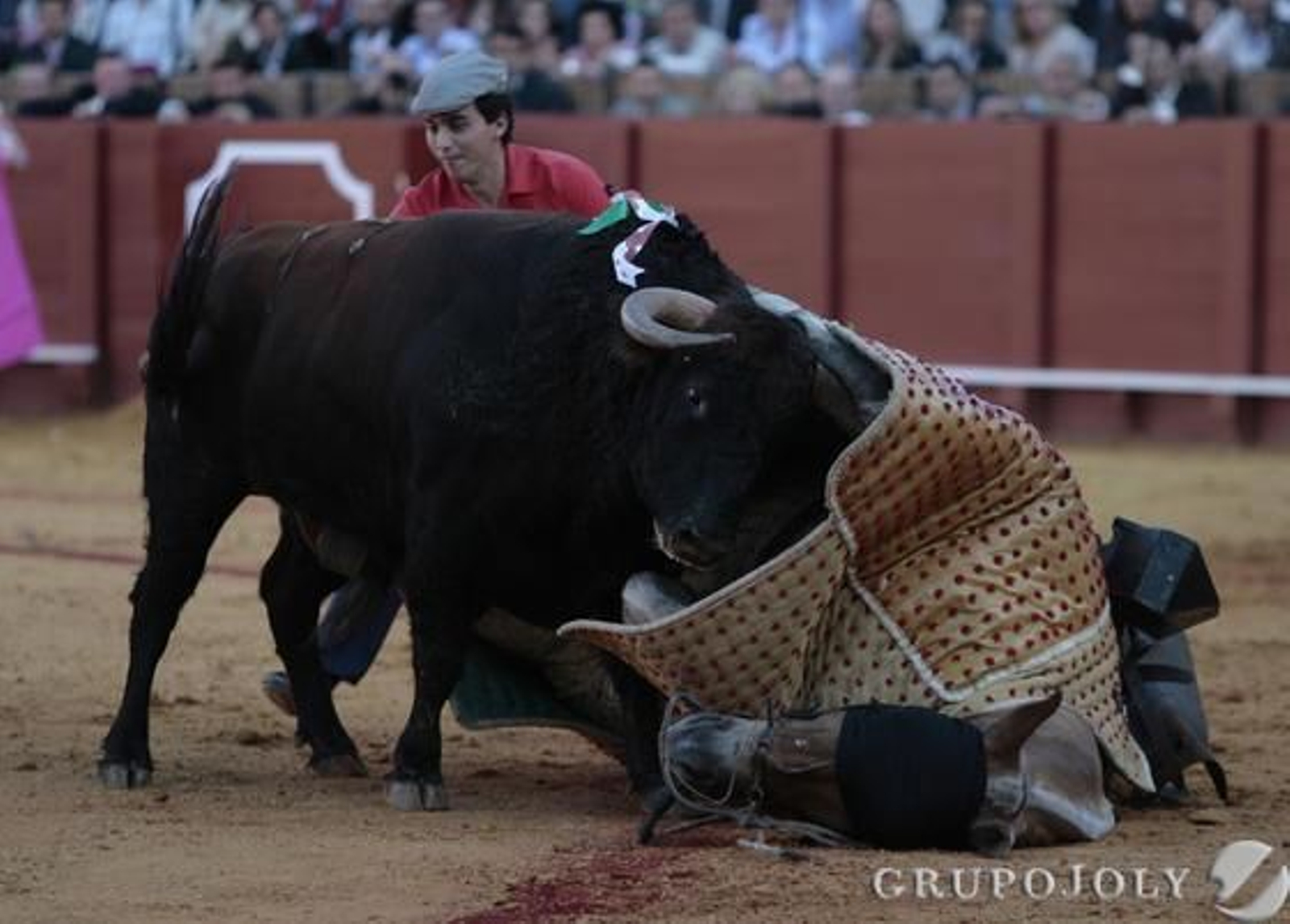 Quinto toro de la tarde.

Foto: Juan Carlos Munoz