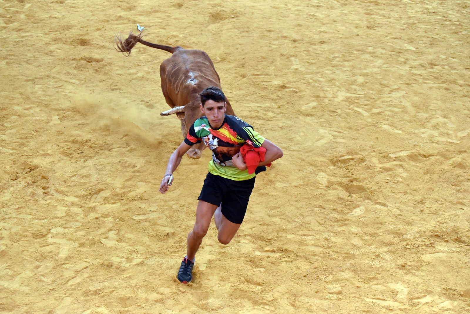 Toro del Aguardiente