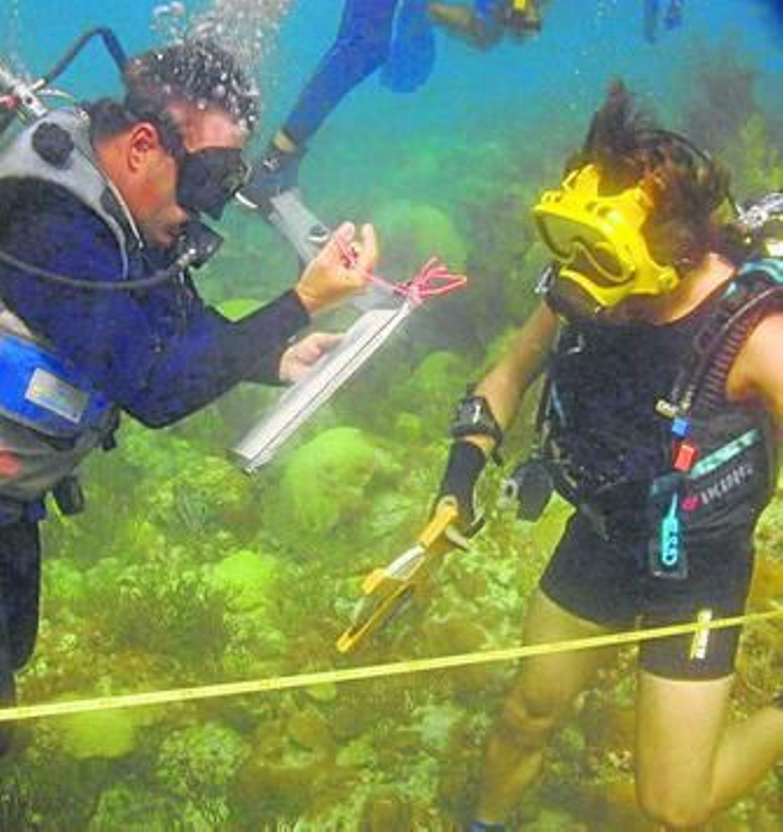 Varios programas de doctorado de la UCA están relacionados con los Estudios del Mar.