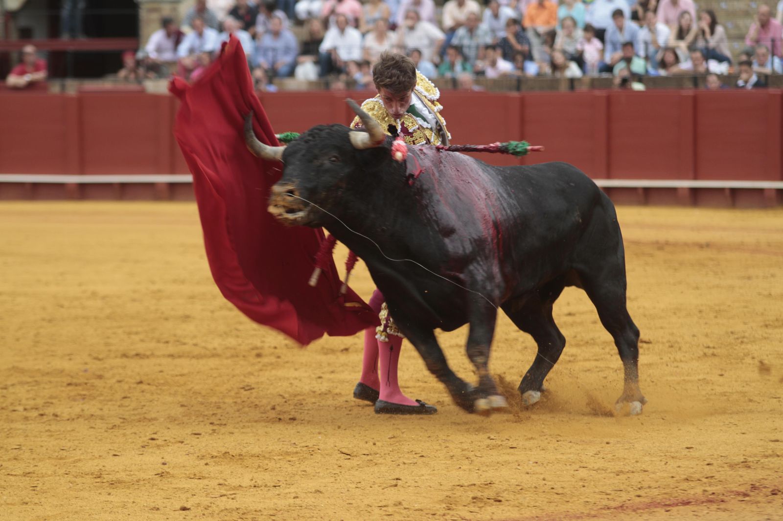Las imágenes de la decimosexta de abono de La Maestranza