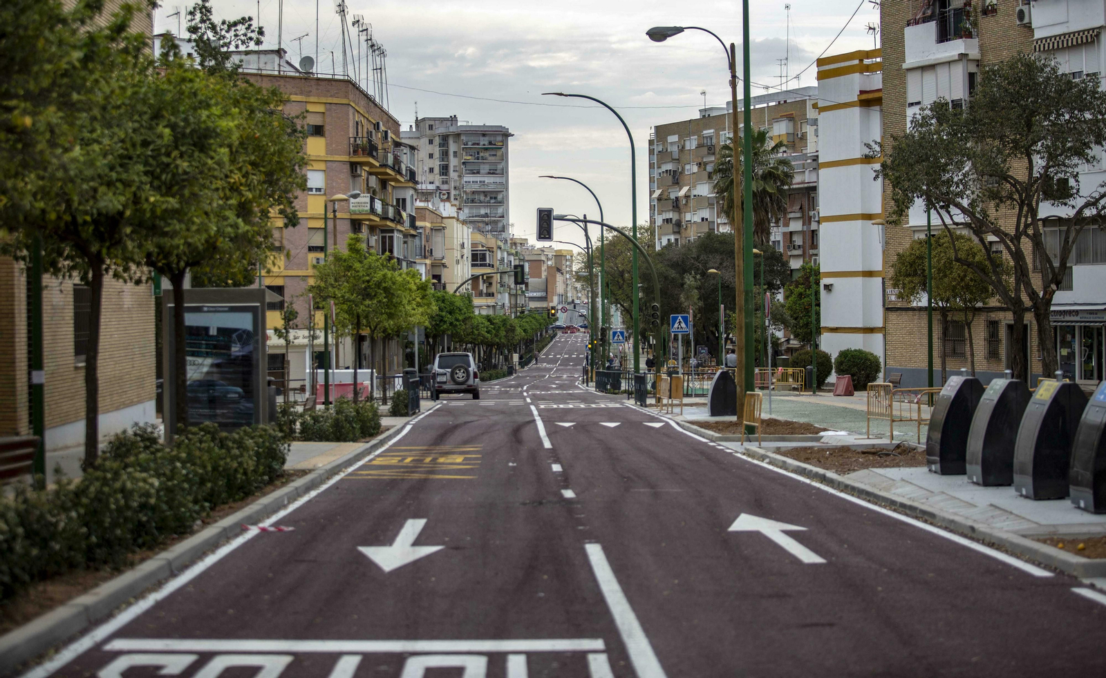El papel del arbolado en Sevilla, clave para desafiar el cambio climático