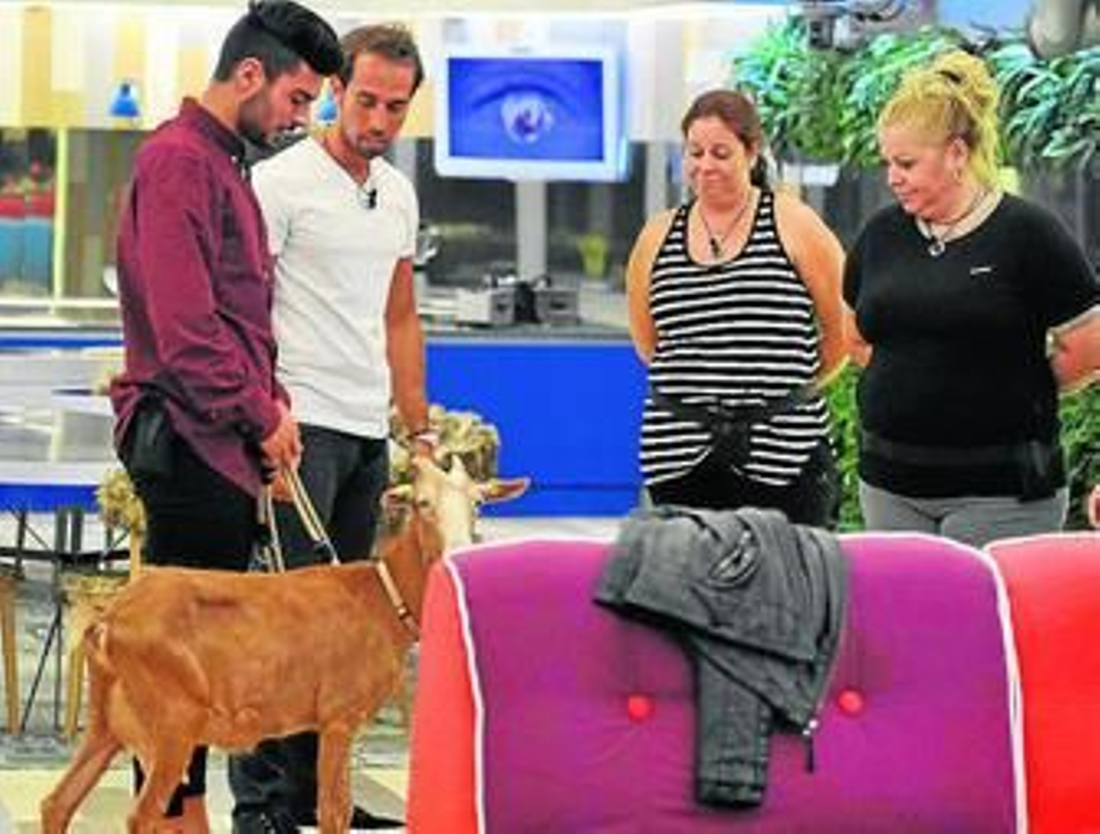 Uno de los concursantes, Hugo, entró en compañía de su mascota, una cabra.