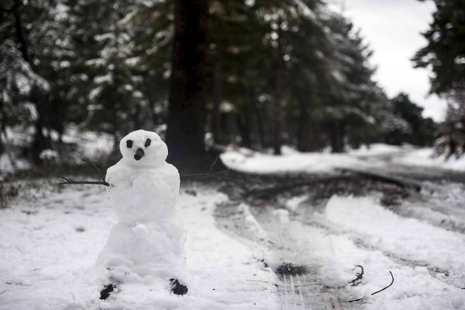 Todas las imágenes del paso del temporal por Granada