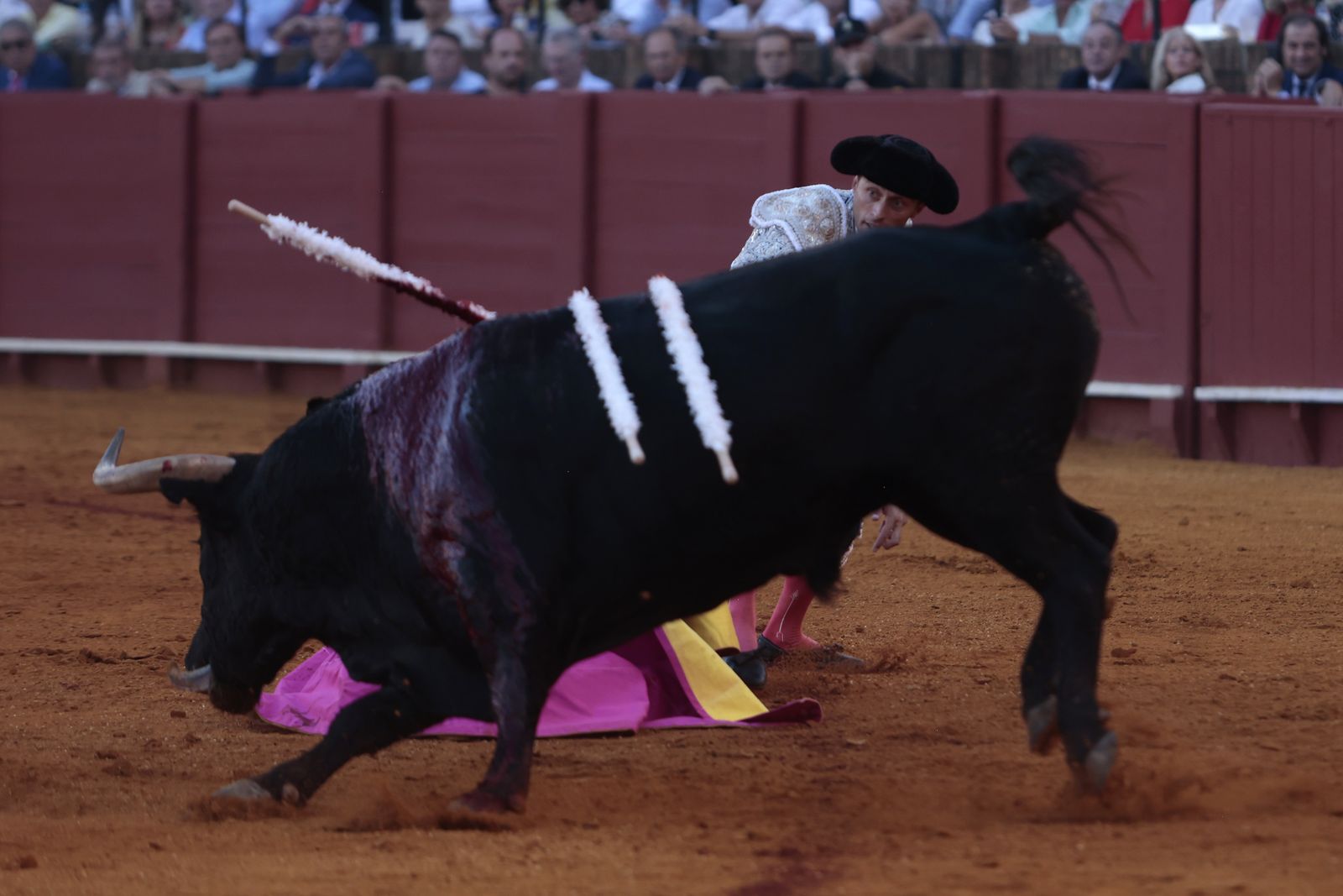 El triunfo de Castella en imágenes