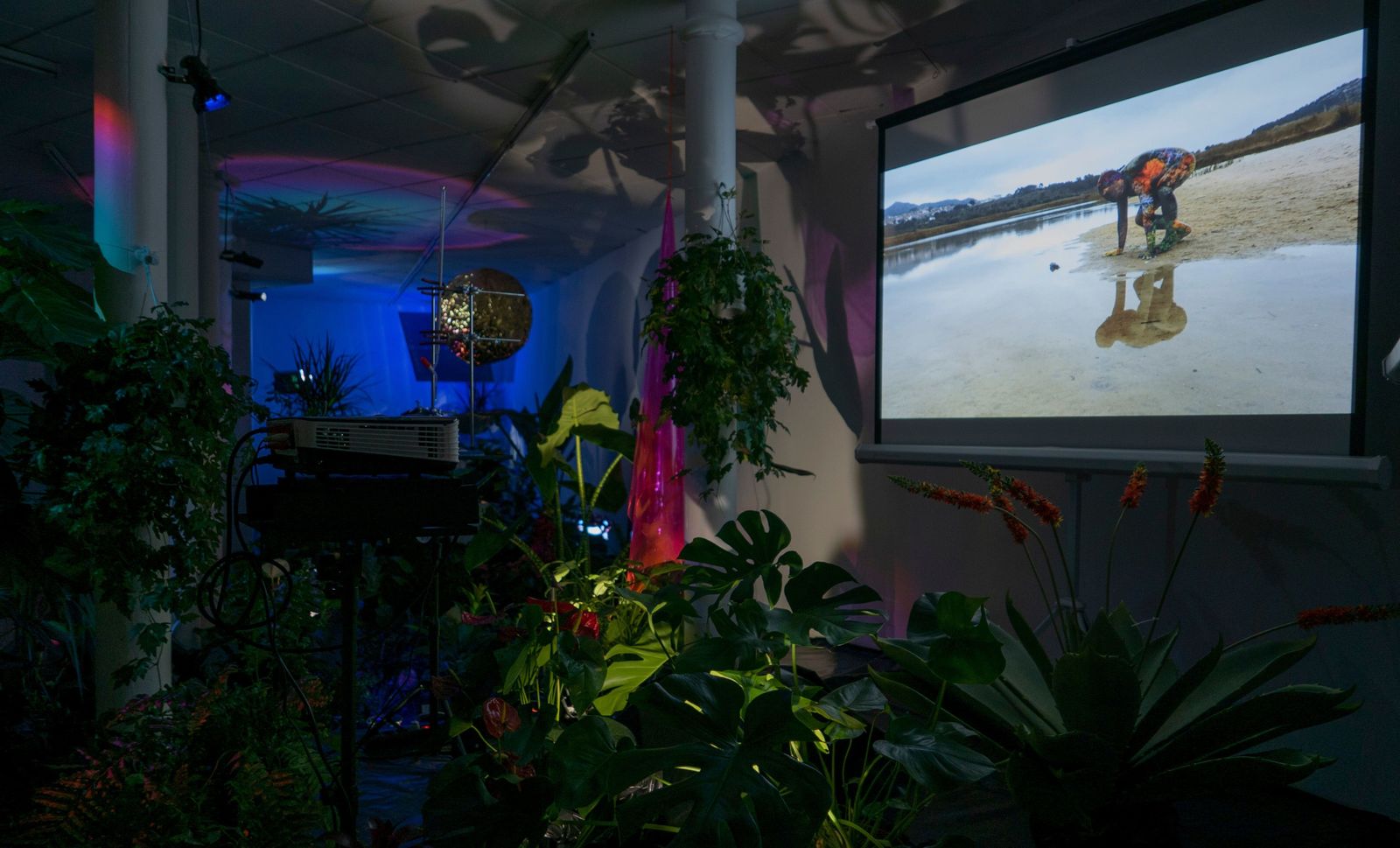 Obra de Andrés Senra.