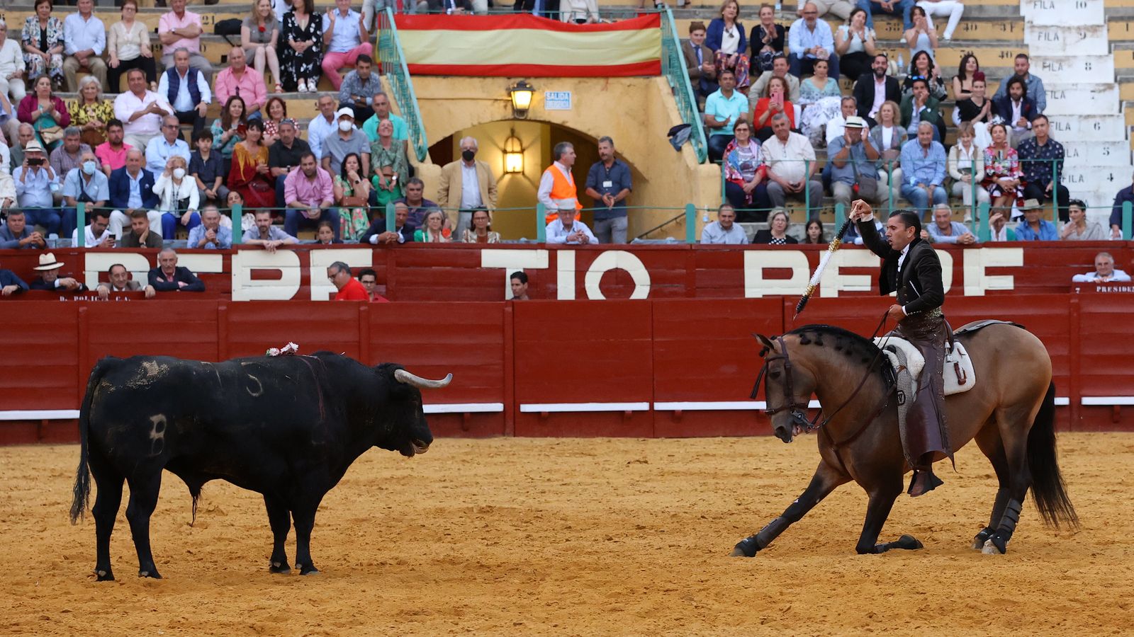 Toros en Jerez: El arte ecuestre