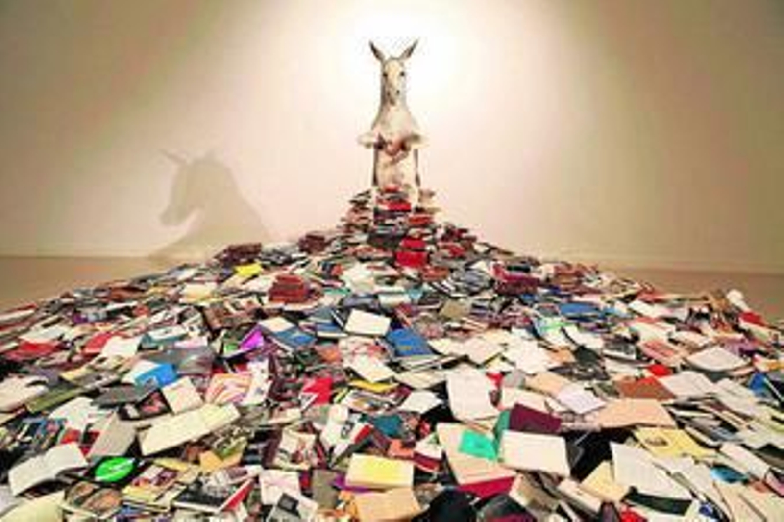 'Asnería' (2010), instalación de Pilar Albarracín incluida en su exposición.