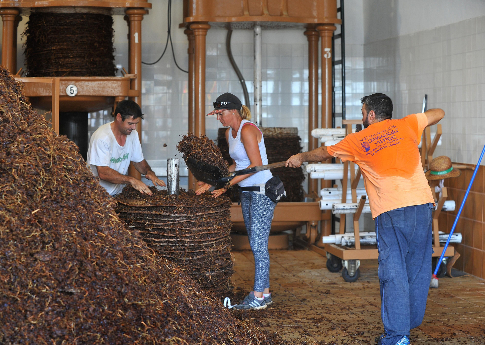 Así se elabora el vino Pedro Ximénez