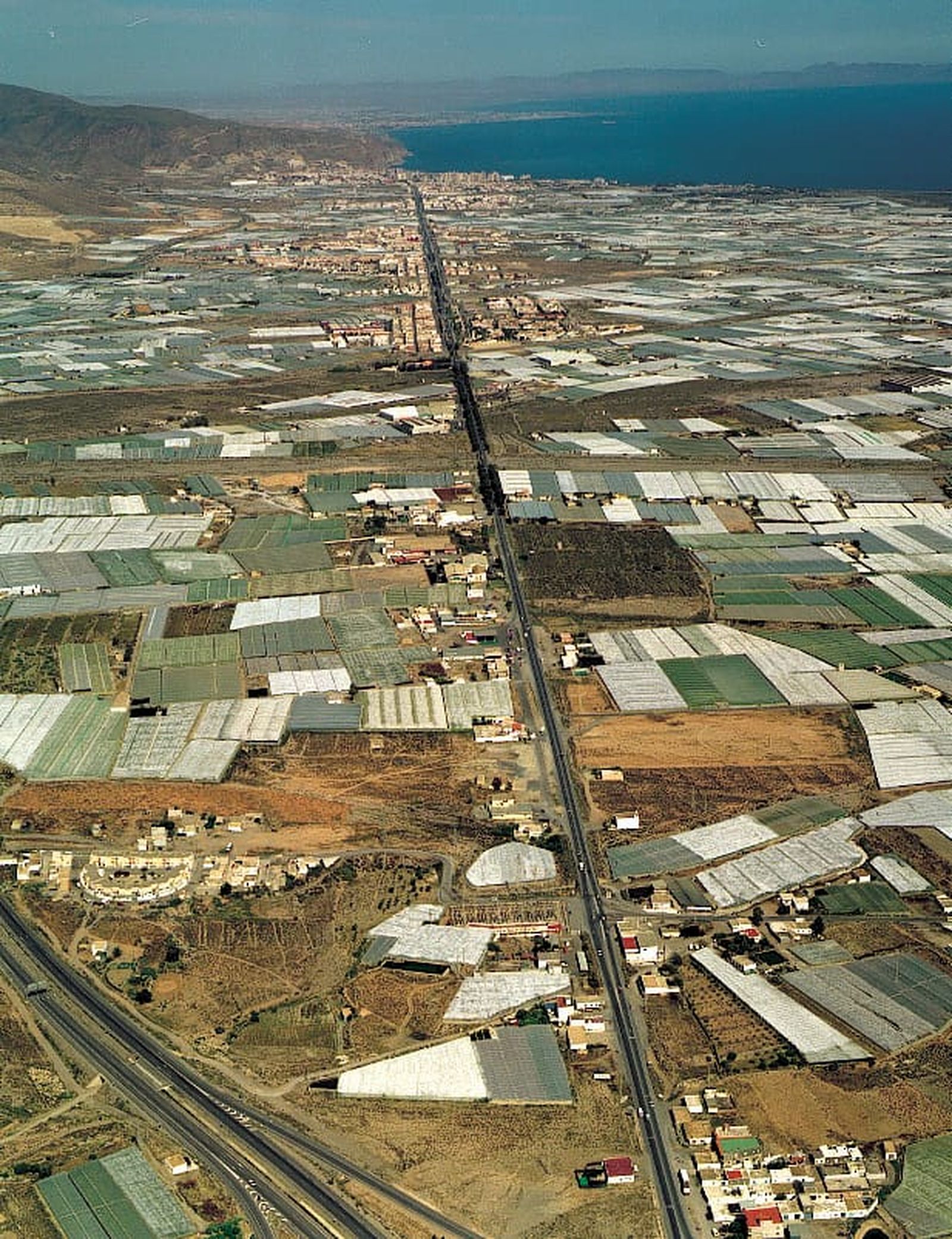 El Bulevar Ciudad de Vícar celebra 20 años de historia