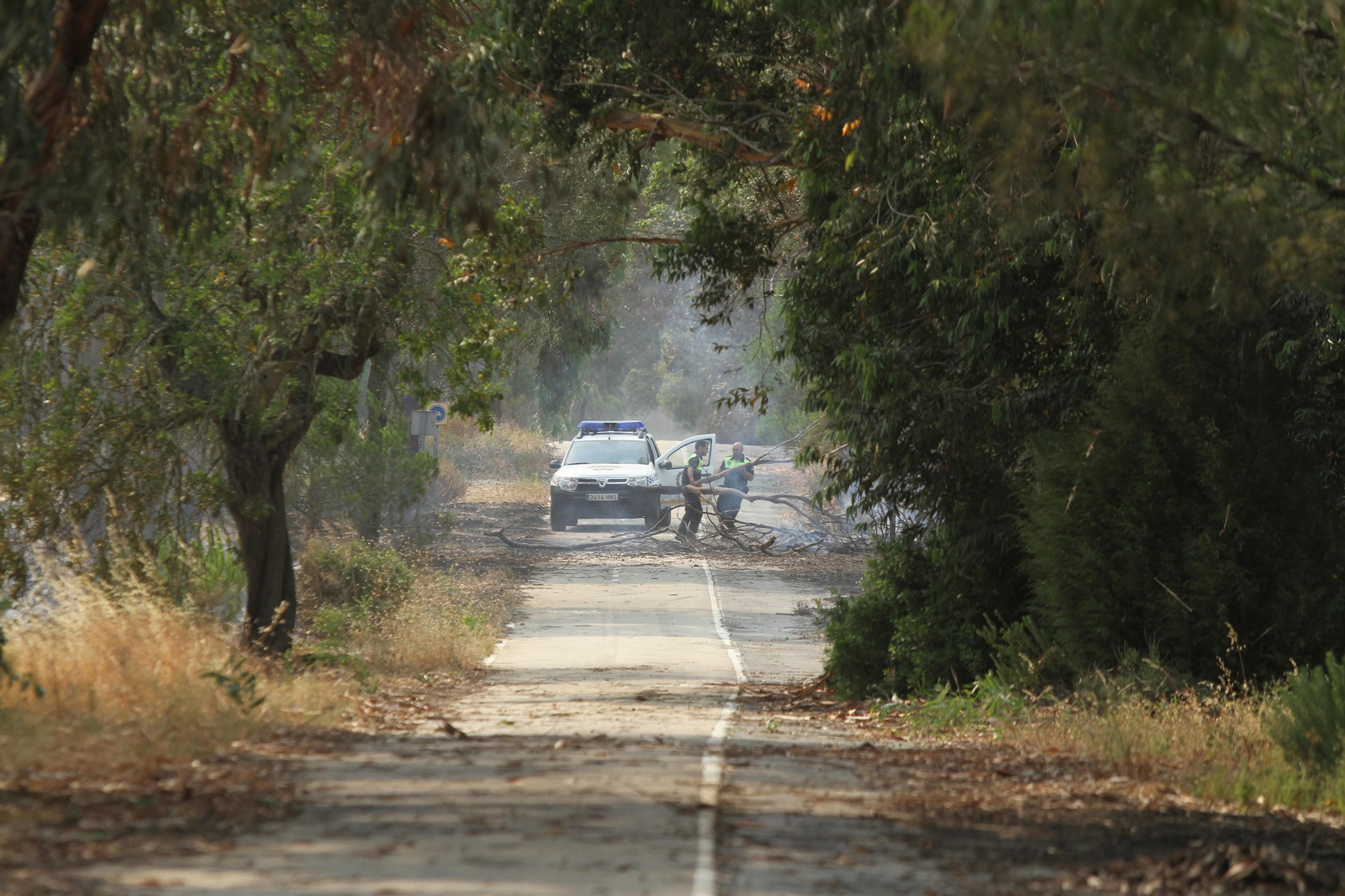 Las imágenes del incendio en Moguer y Mazagón